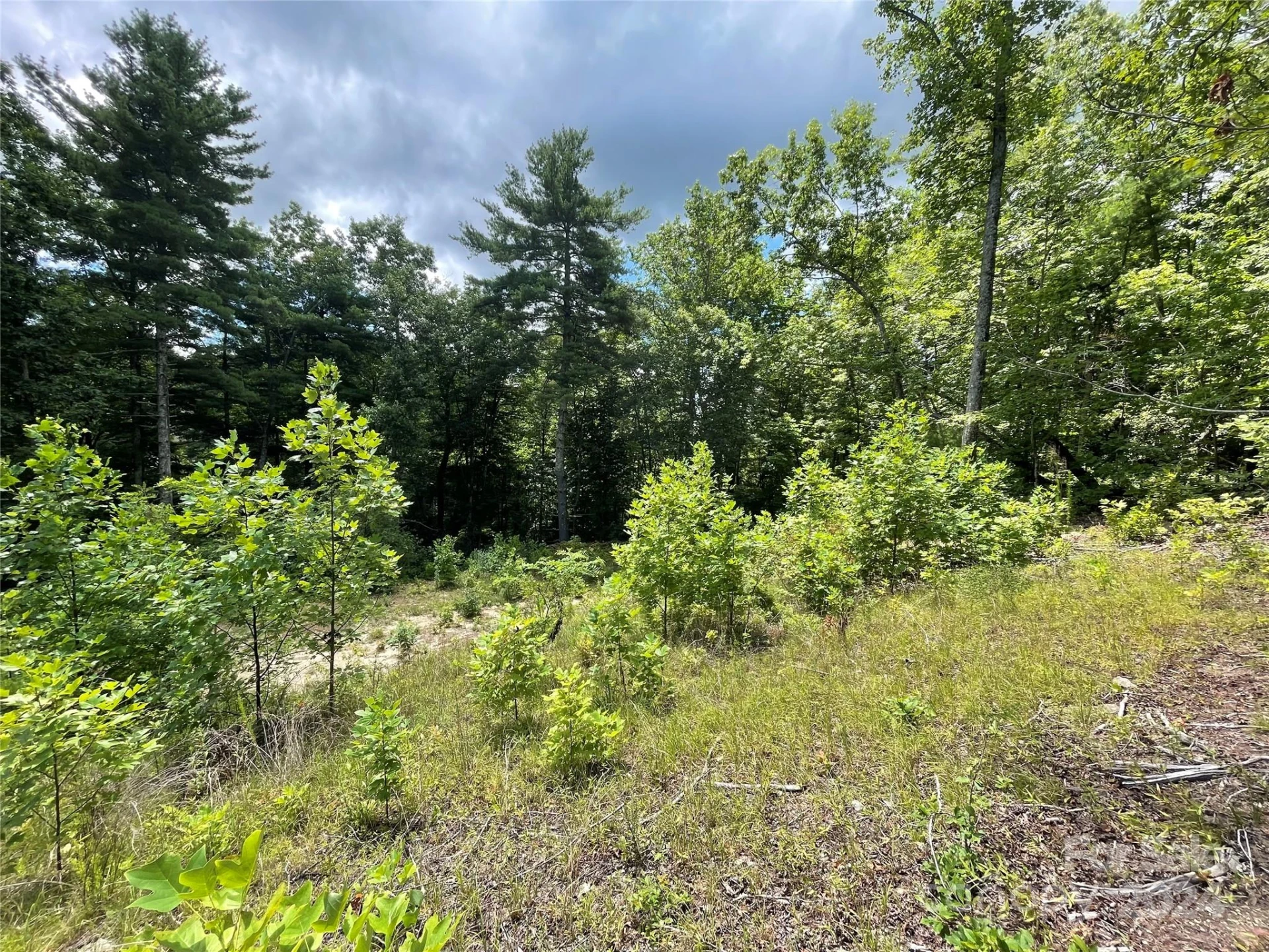 00 Willow Run Lane #6 - Photo 10
