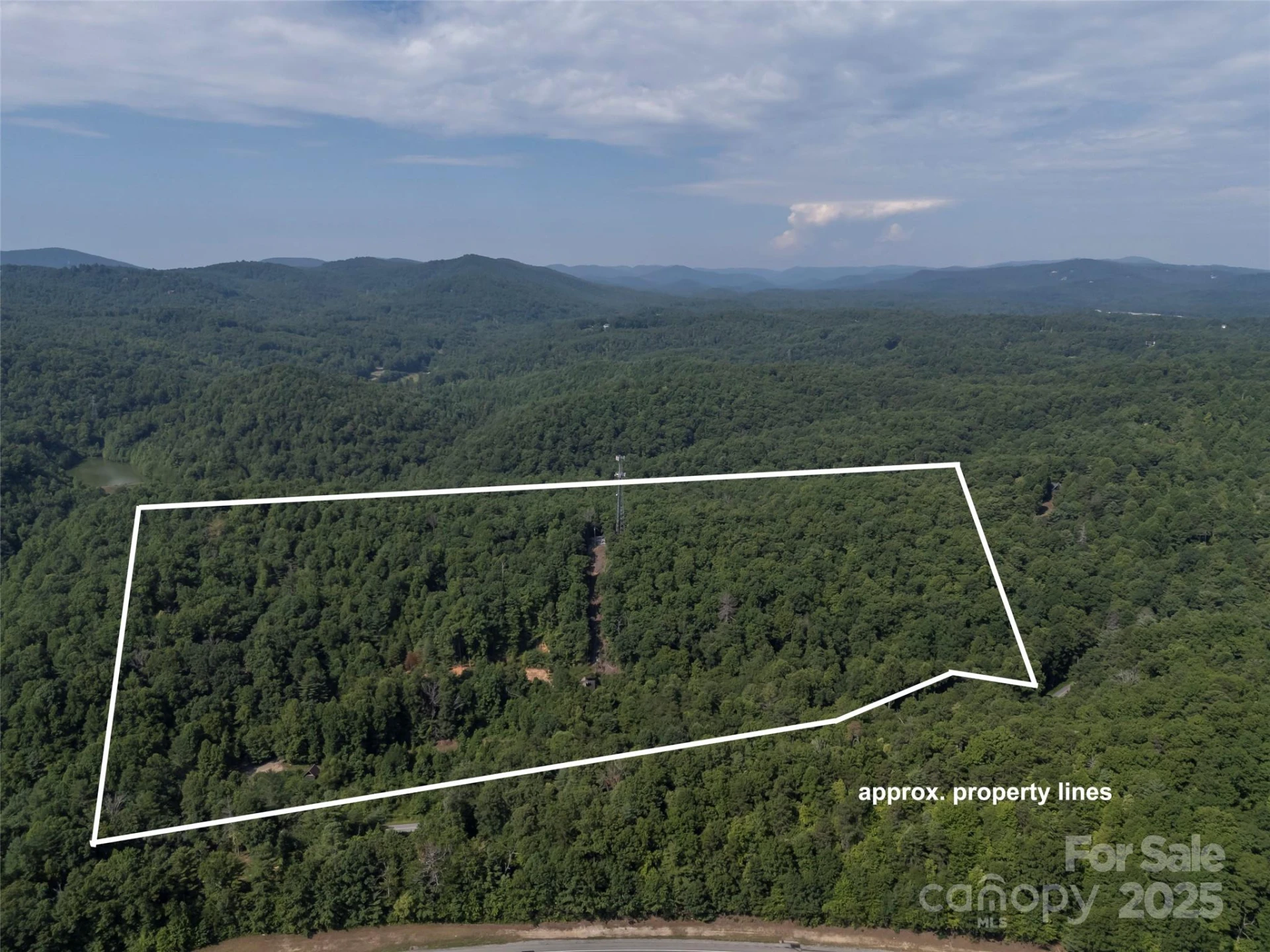 1084 Old Howard Gap Road - Photo 2