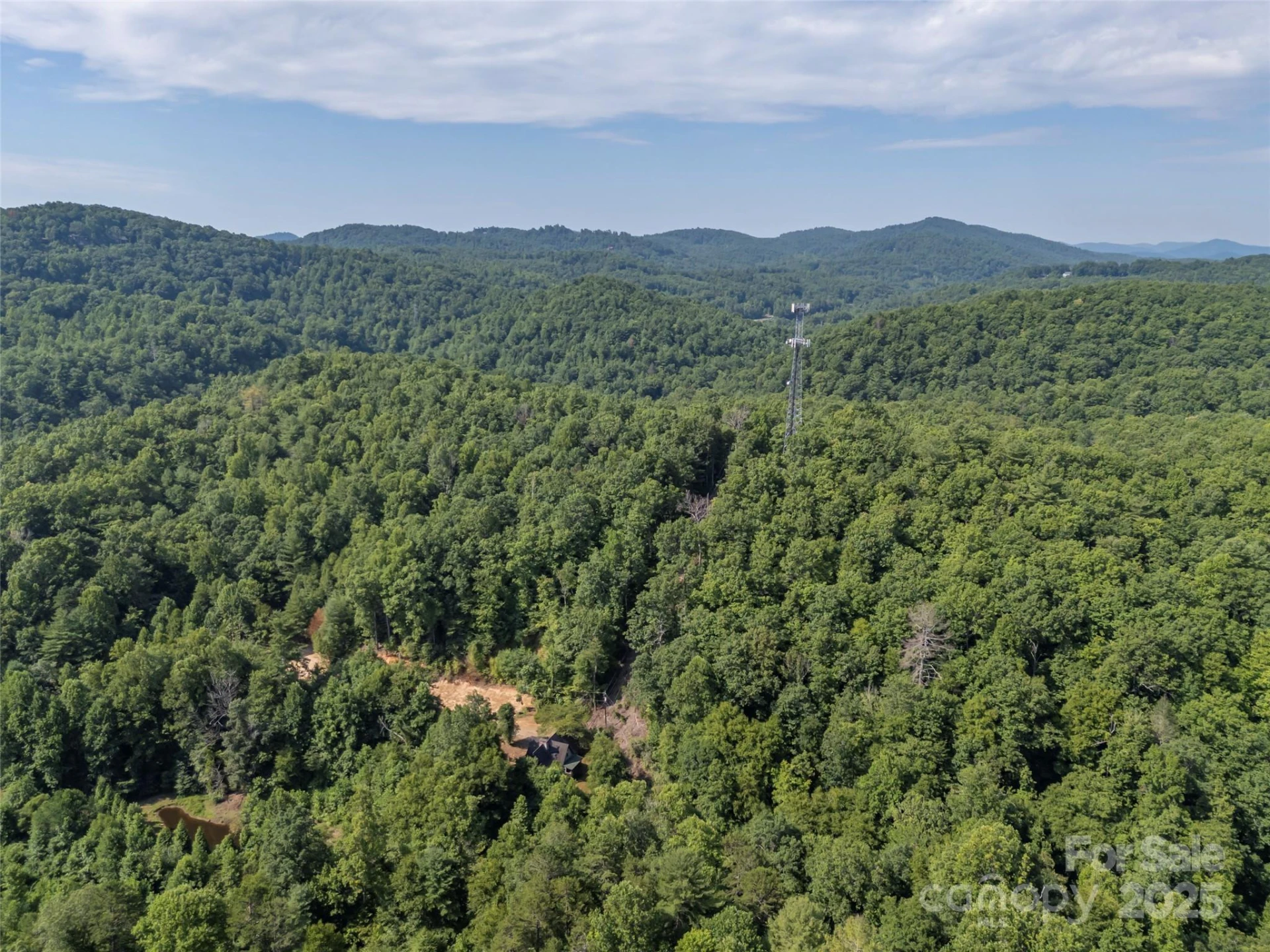 1084 Old Howard Gap Road - Photo 12