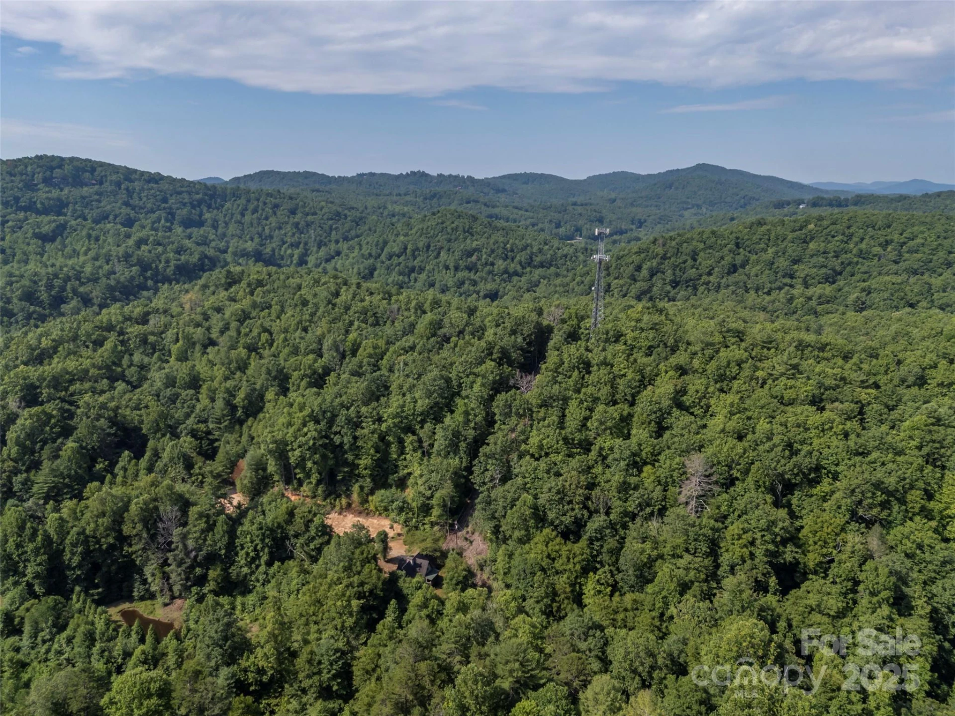 1084 Old Howard Gap Road - Photo 13