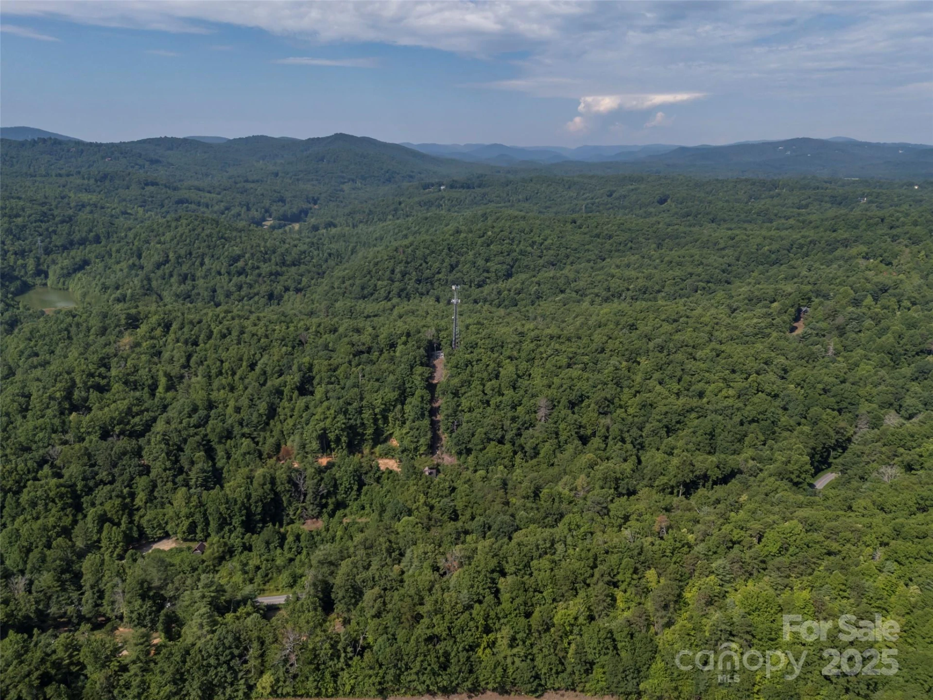 1084 Old Howard Gap Road - Photo 14