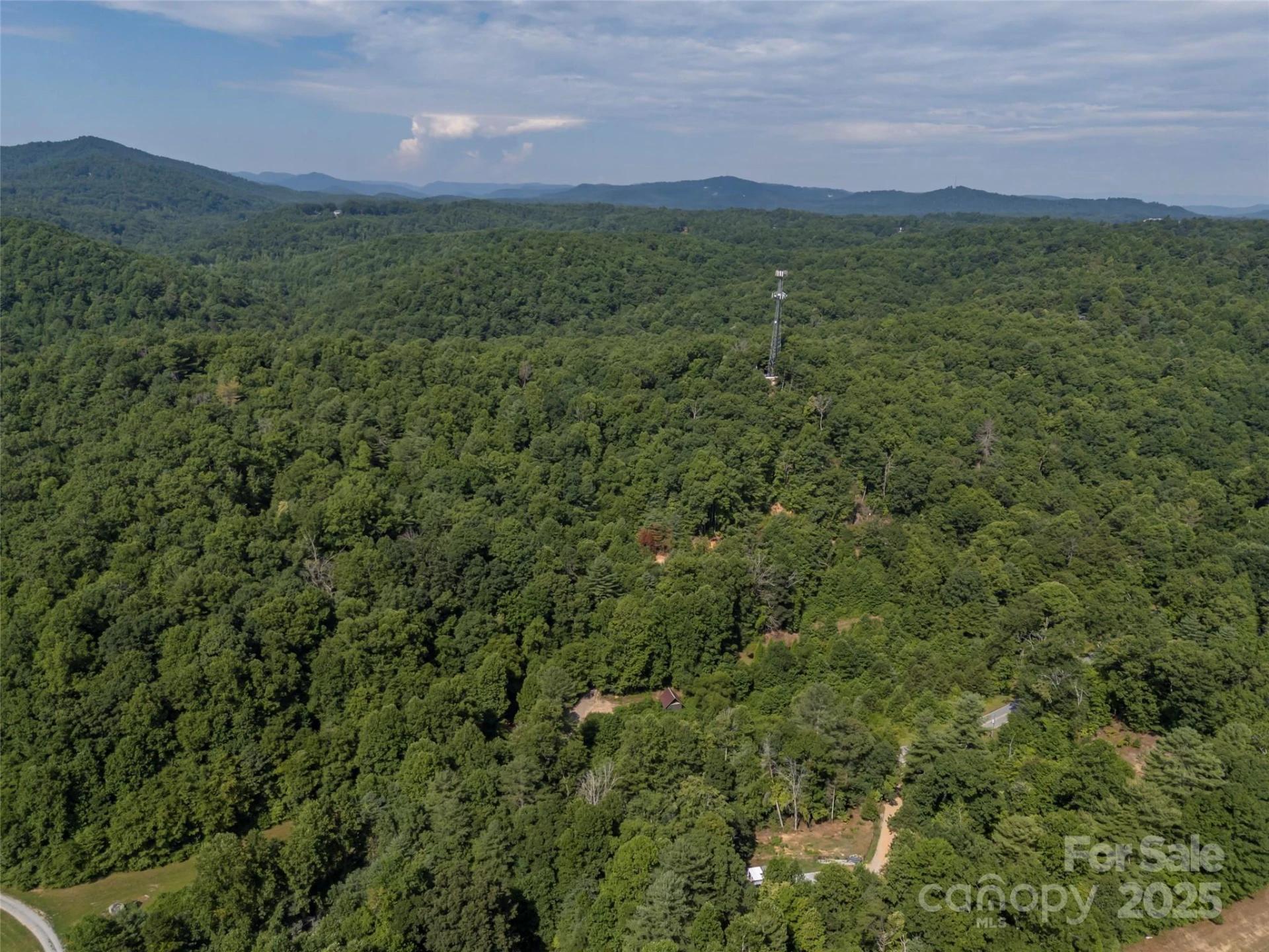 1084 Old Howard Gap Road - Photo 16
