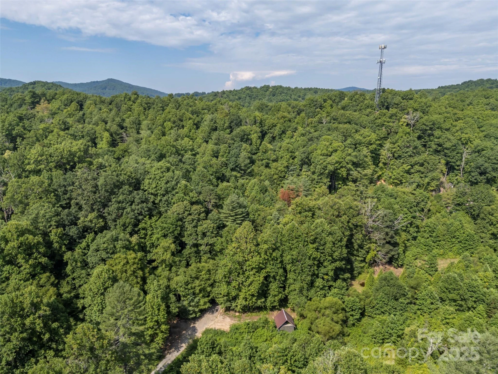 1084 Old Howard Gap Road - Photo 17