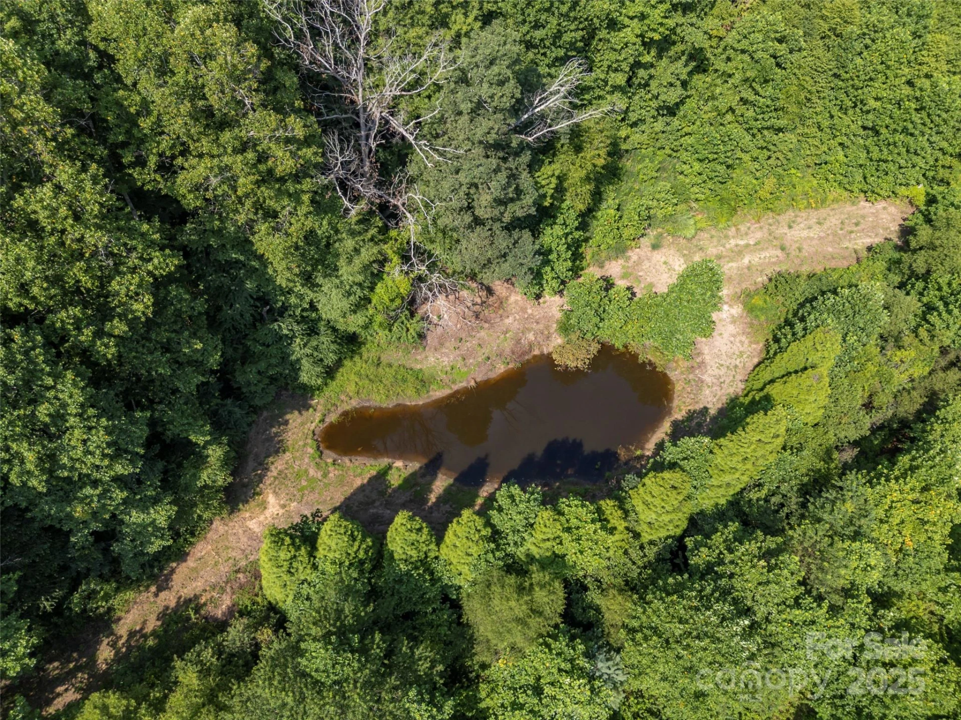 1084 Old Howard Gap Road - Photo 18