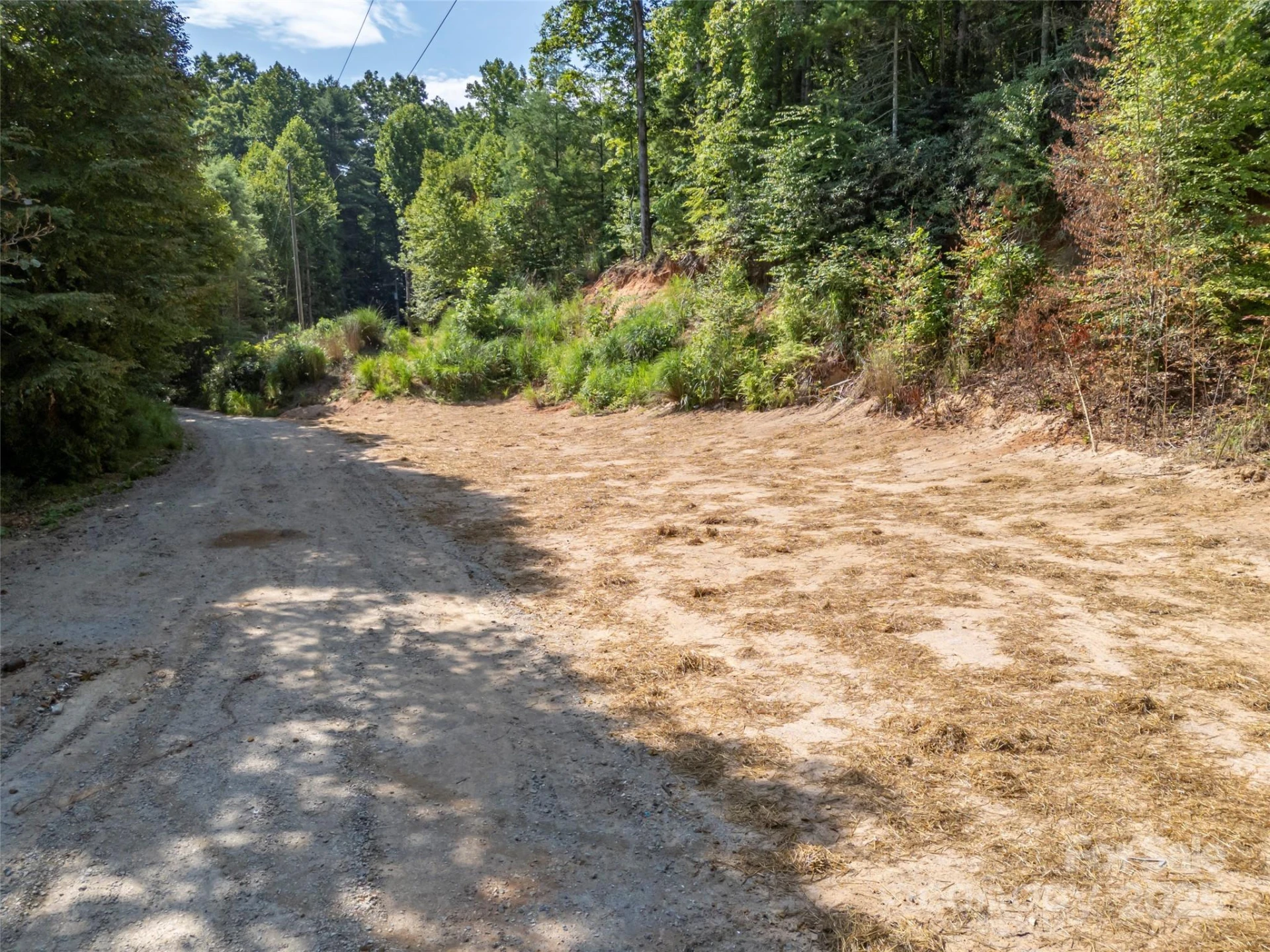 1084 Old Howard Gap Road - Photo 19
