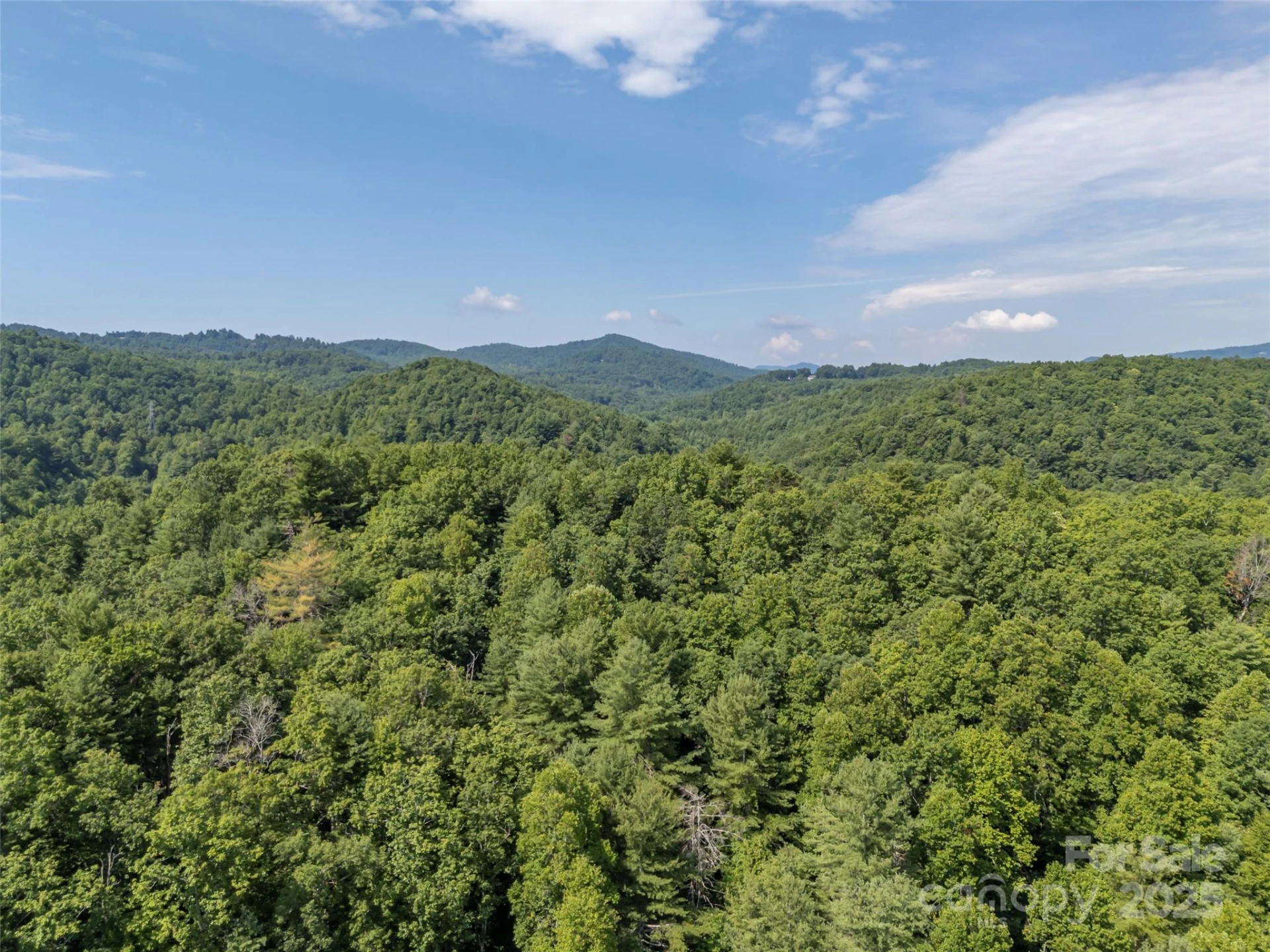 1084 Old Howard Gap Road - Photo 42