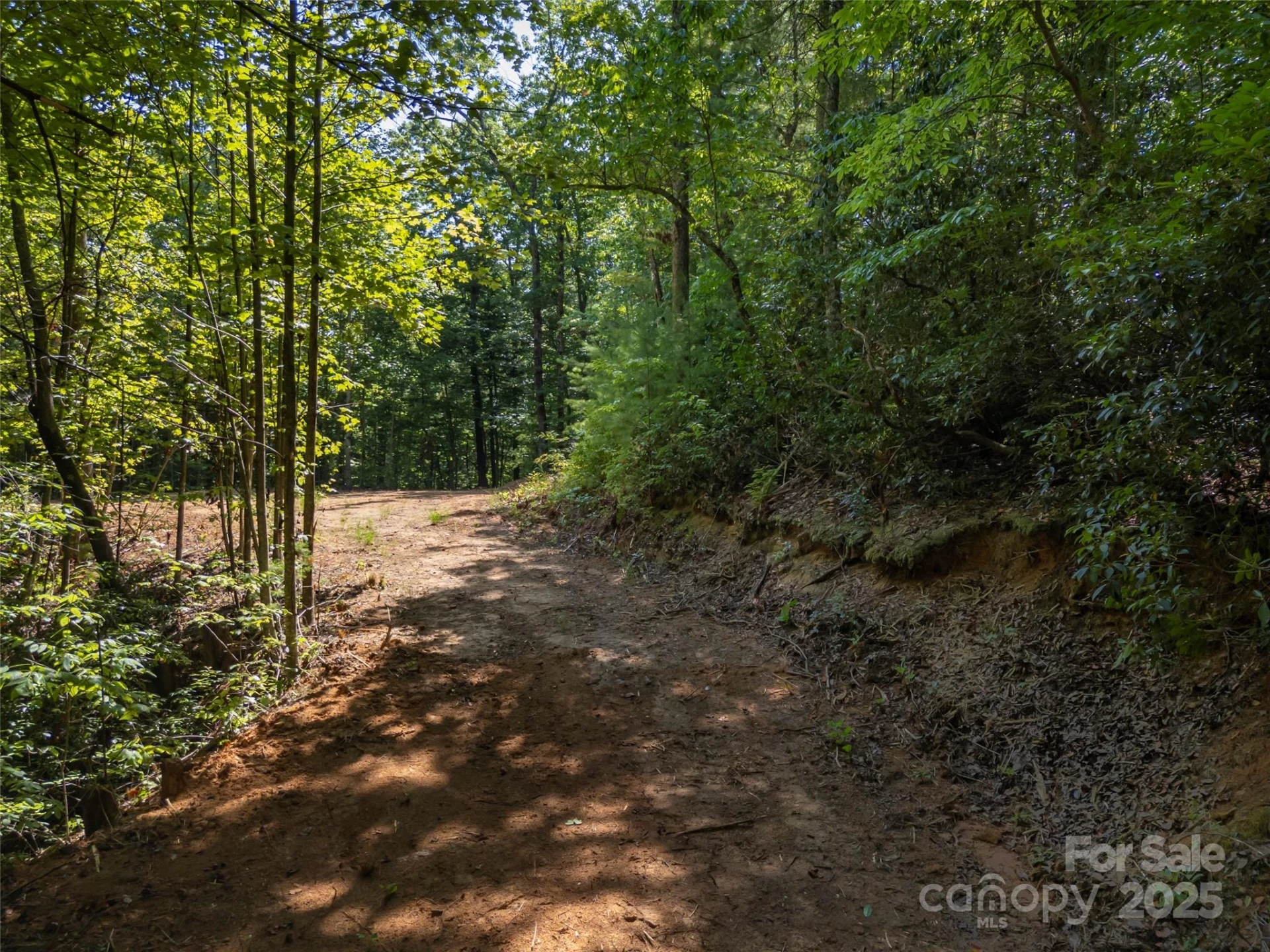 1084 Old Howard Gap Road - Photo 45