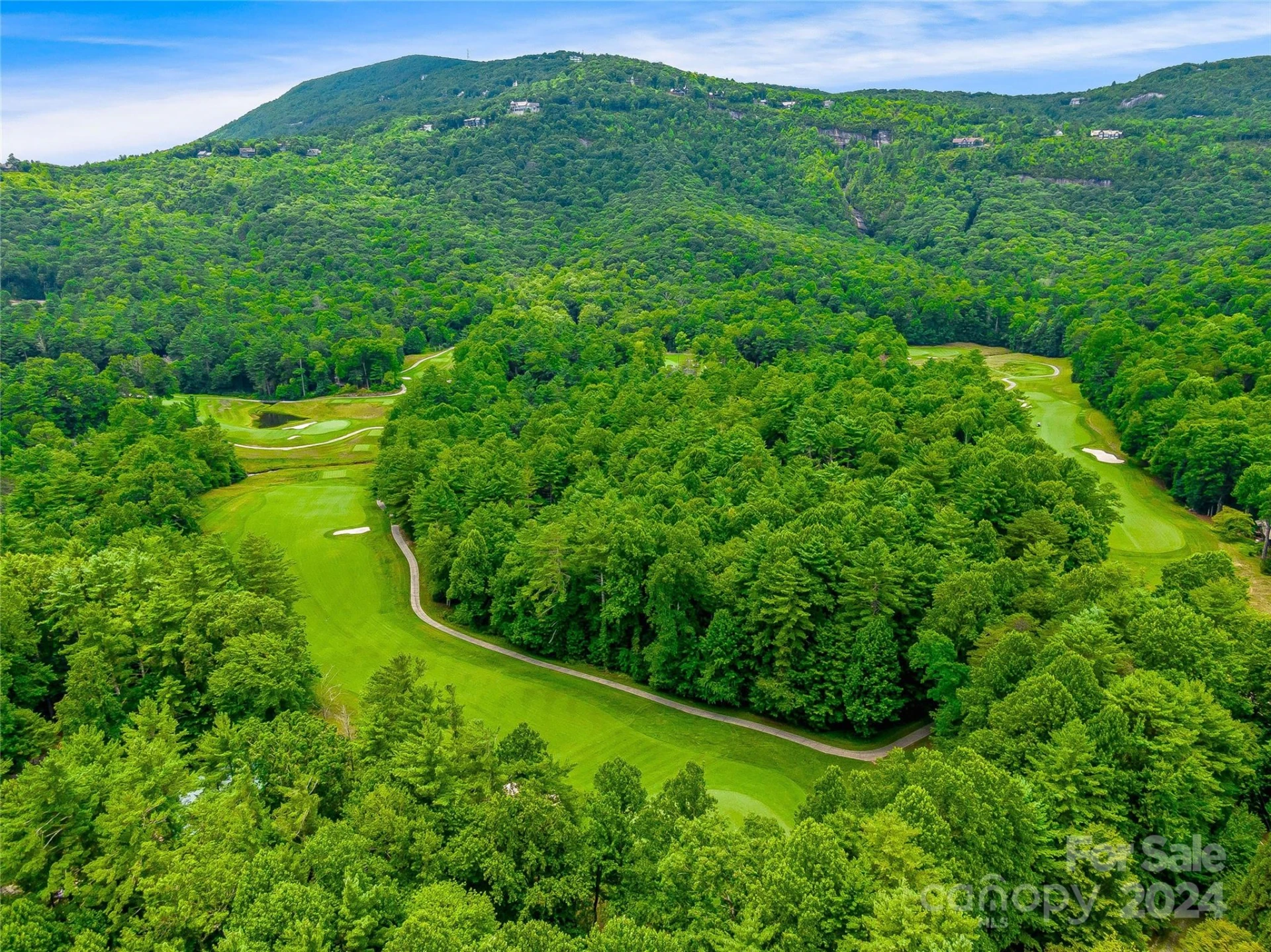 N 17 Mills Creek Trace - Photo 10