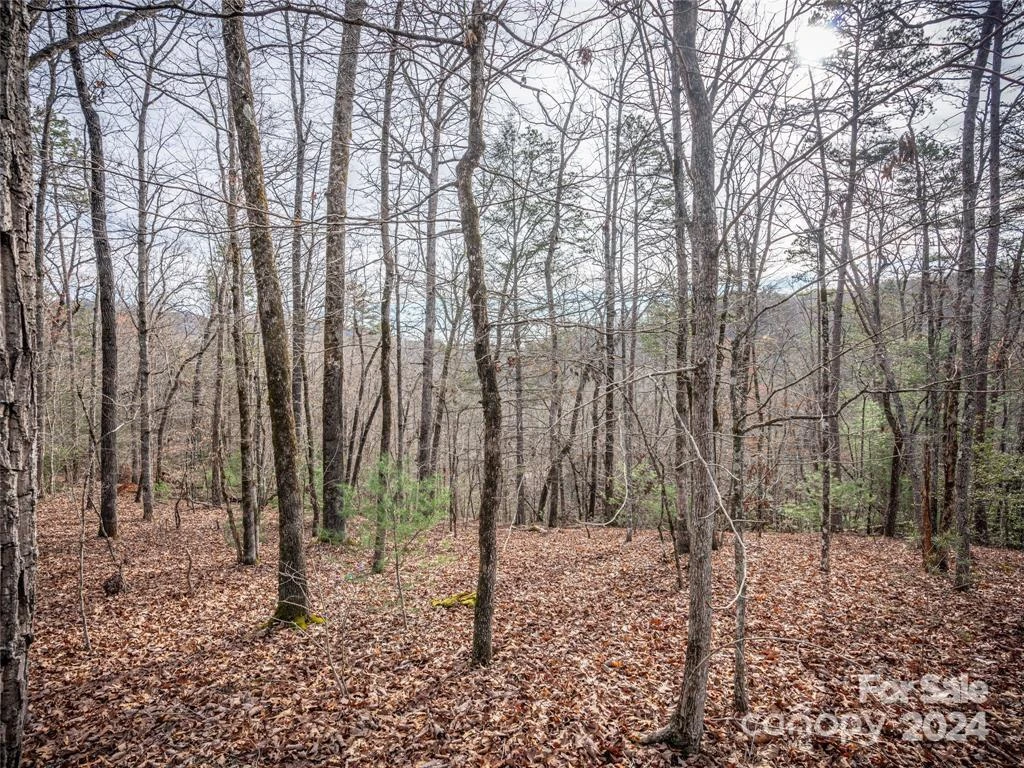 163 Pheasant Street #163 - Photo 5