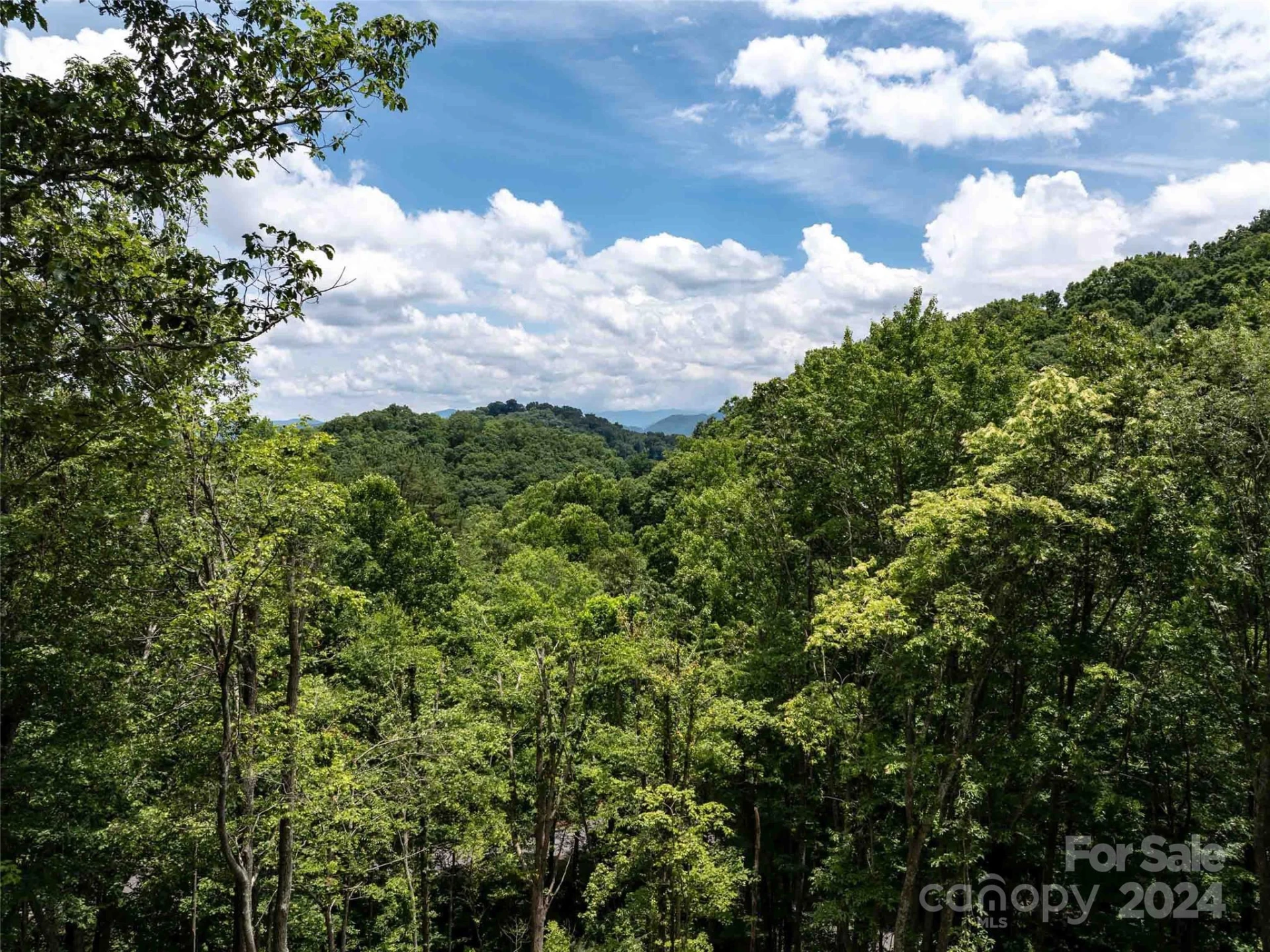 #32 Tapestry Trail - Photo 4
