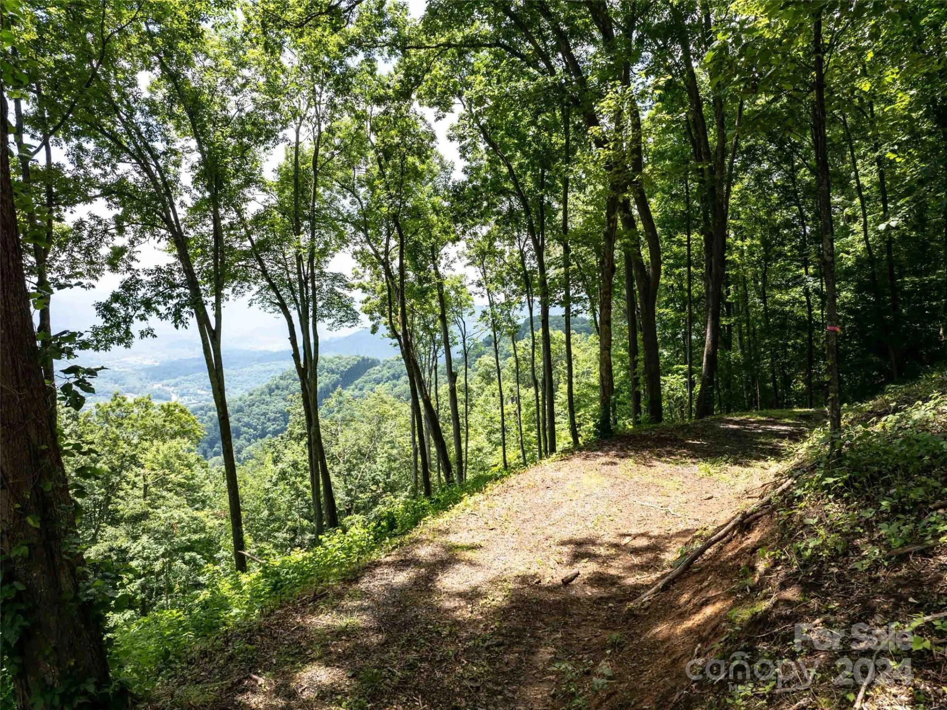 #54 Sleepy Hollow Drive - Photo 12