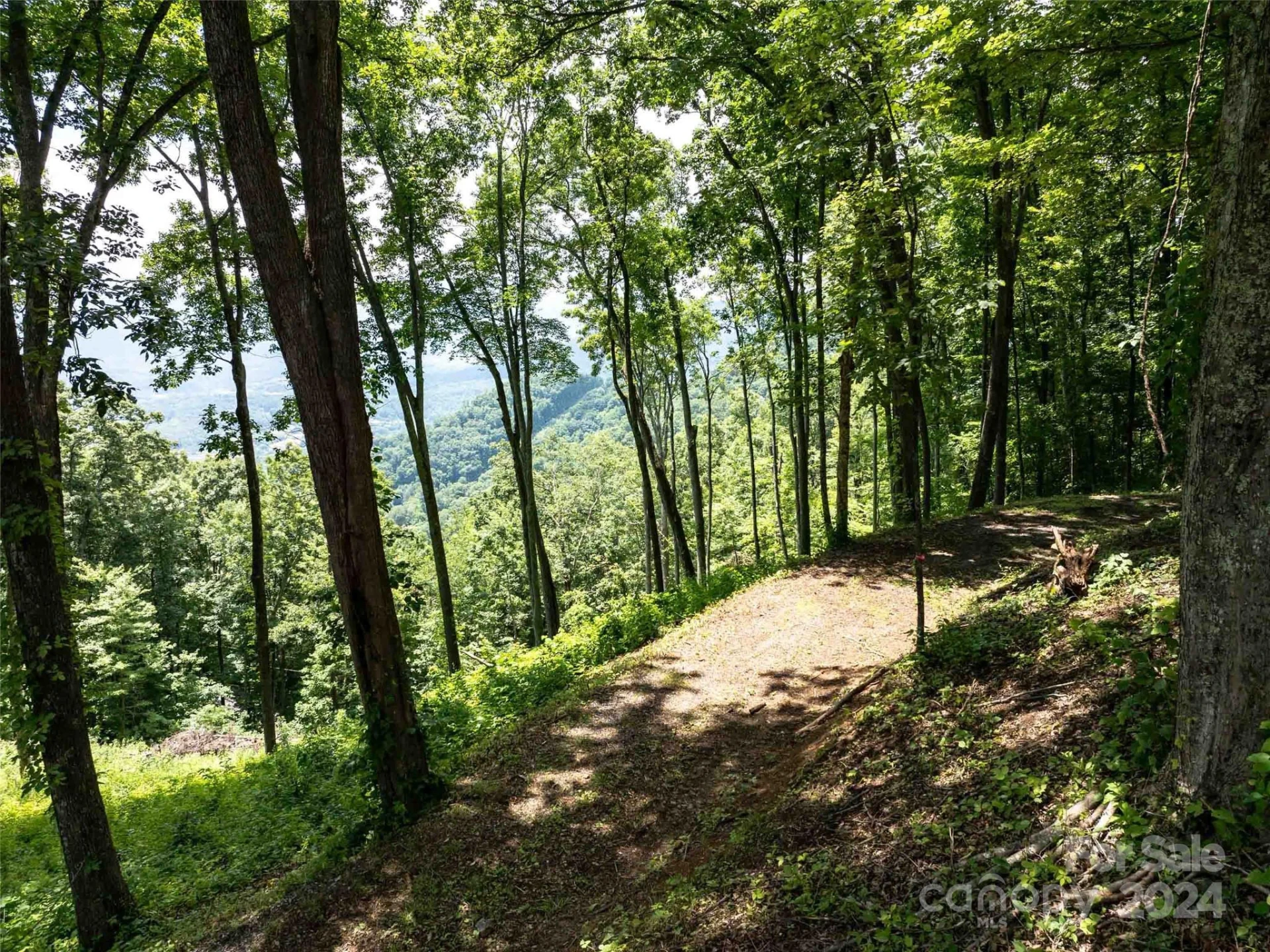 #54 Sleepy Hollow Drive - Photo 3