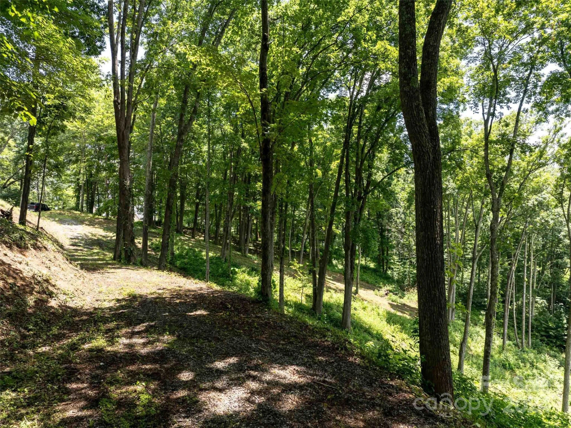 #54 Sleepy Hollow Drive - Photo 4