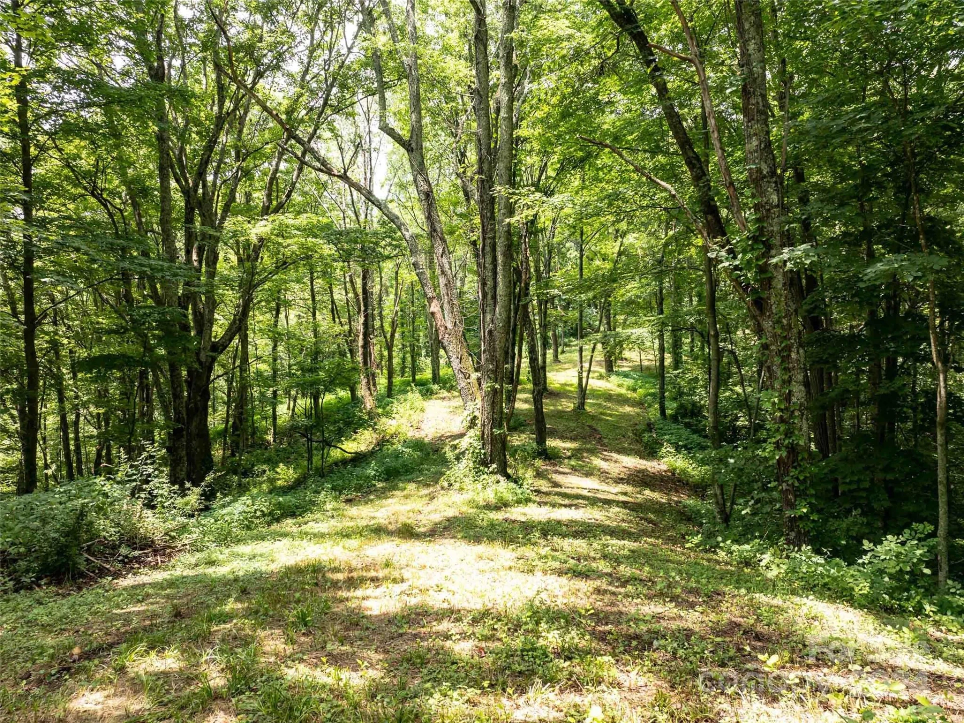 00 Hardy Branch Trail - Photo 11