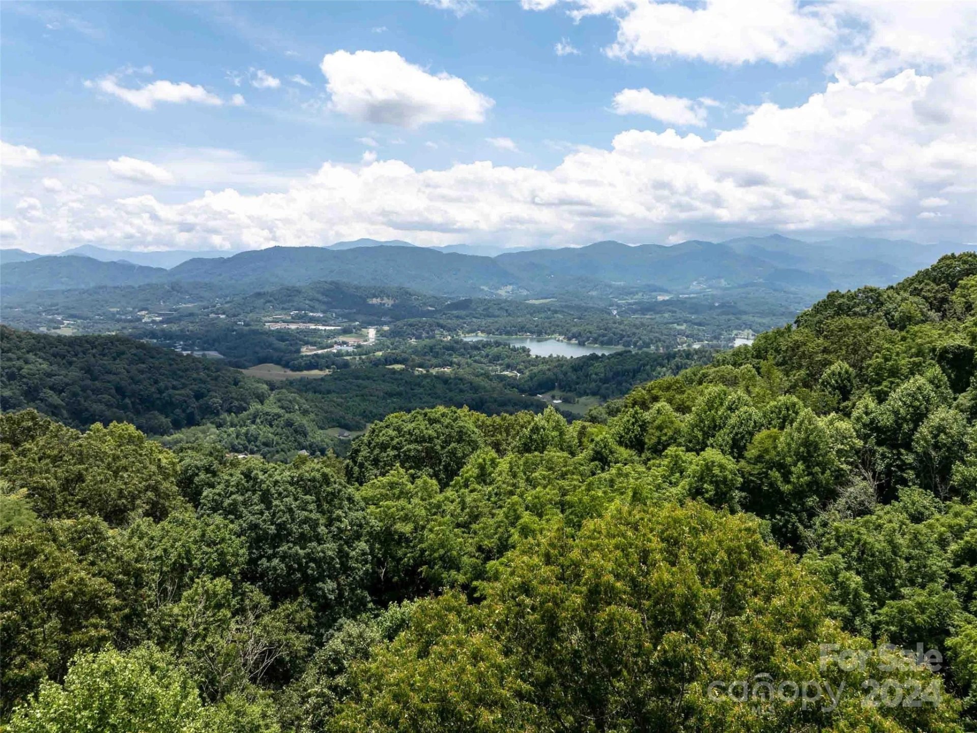 00 Hardy Branch Trail - Photo 13