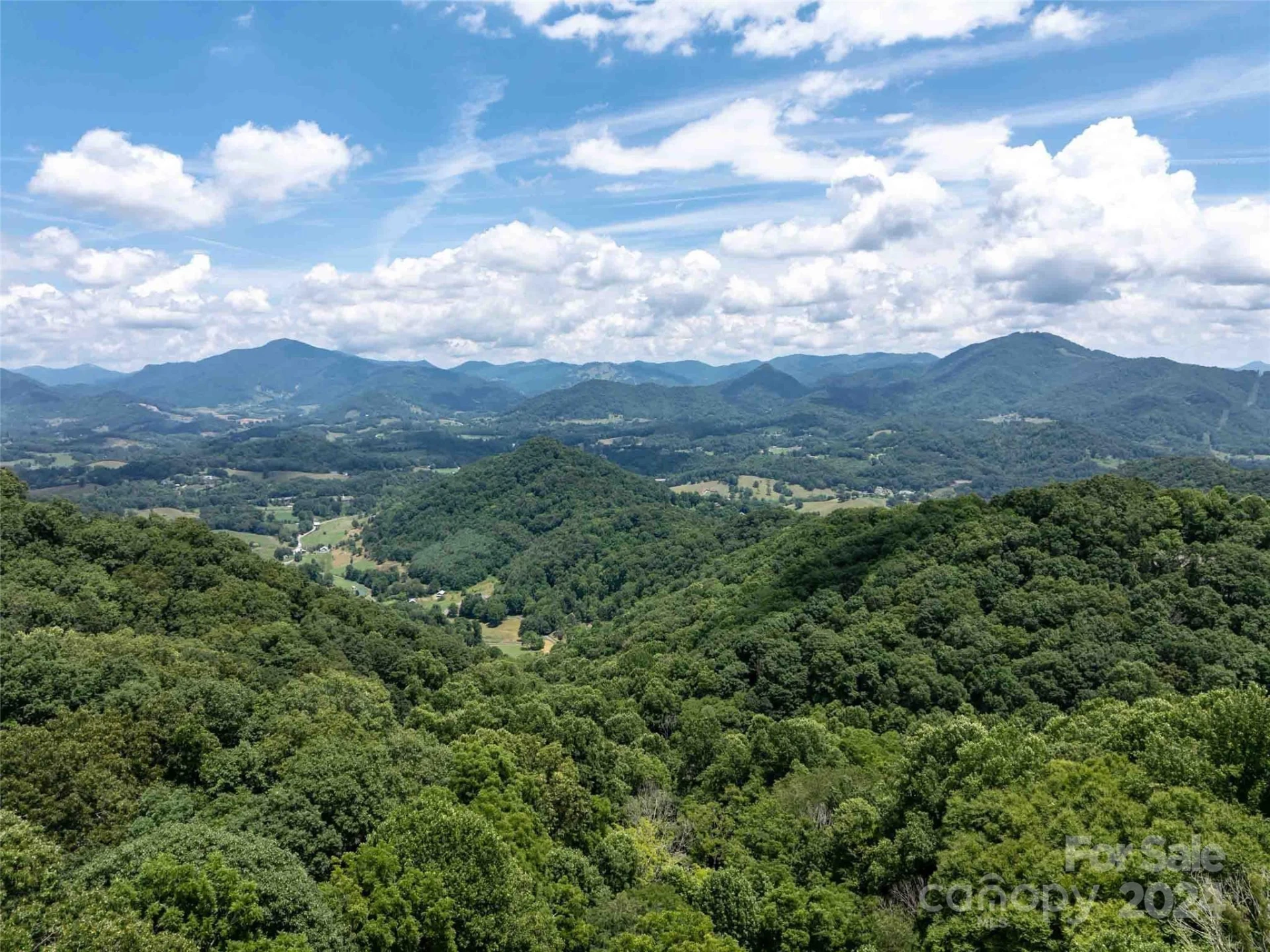 00 Hardy Branch Trail - Photo 20