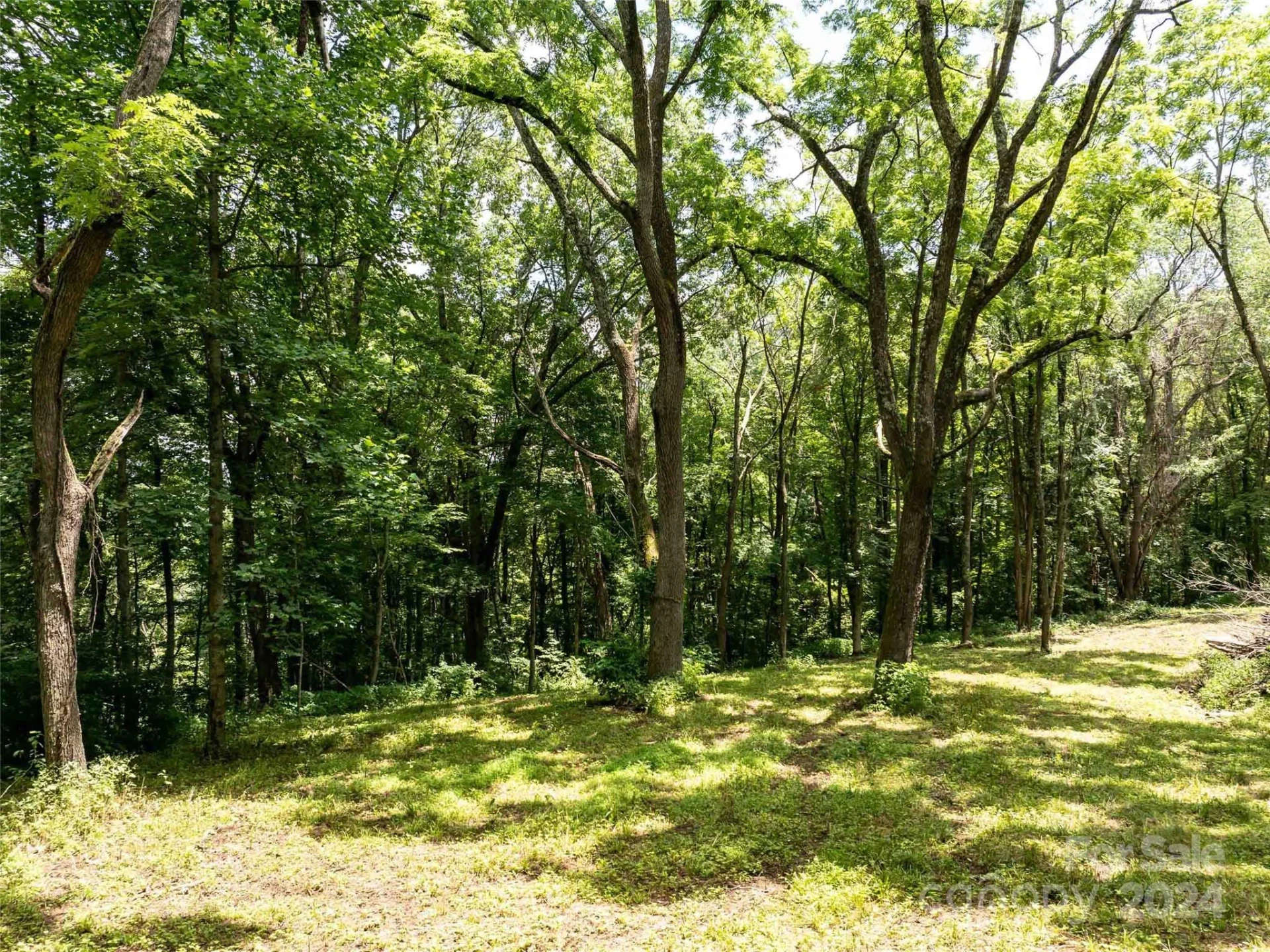 00 Hardy Branch Trail - Photo 3