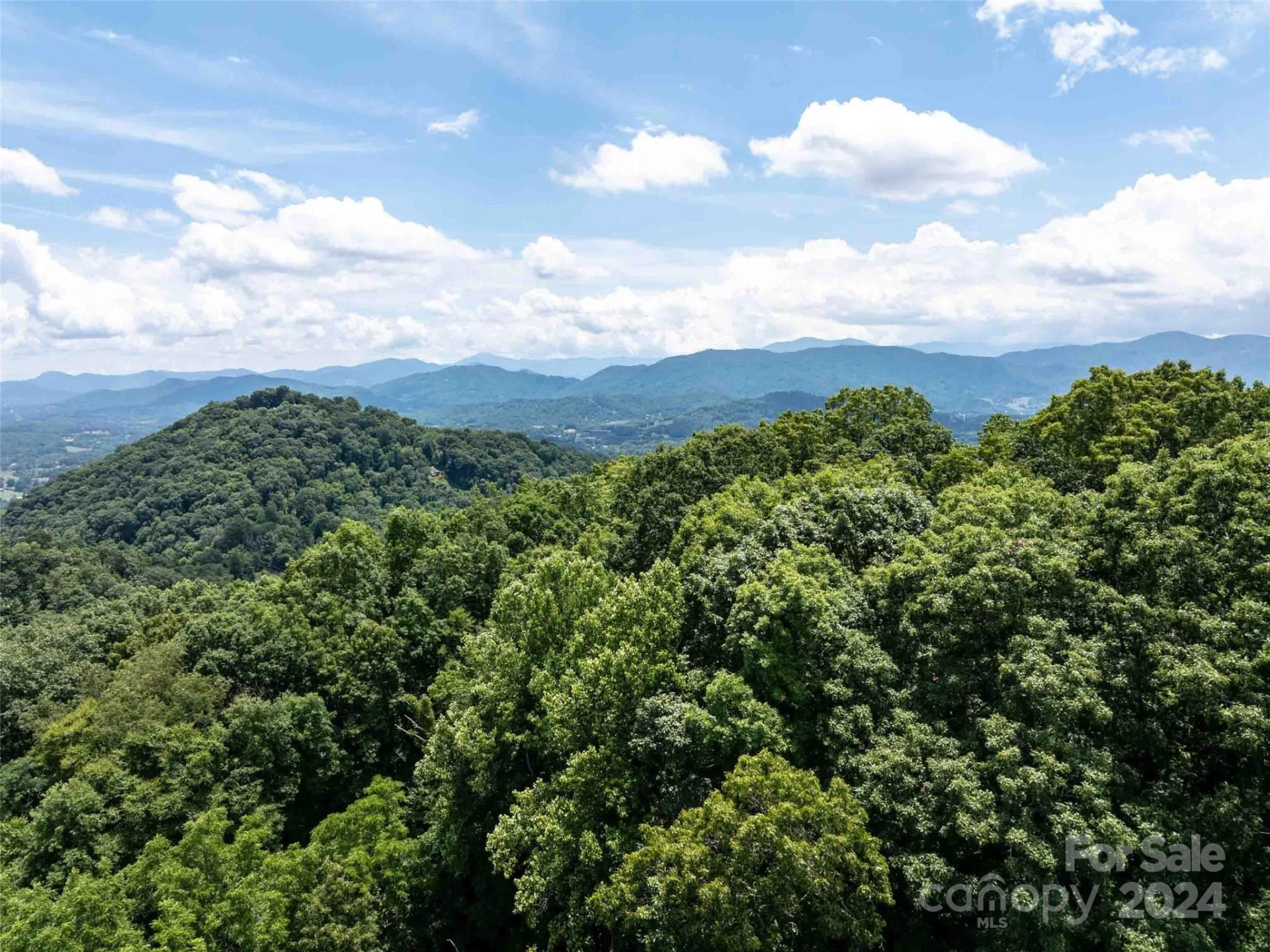 00 Hardy Branch Trail - Photo 23