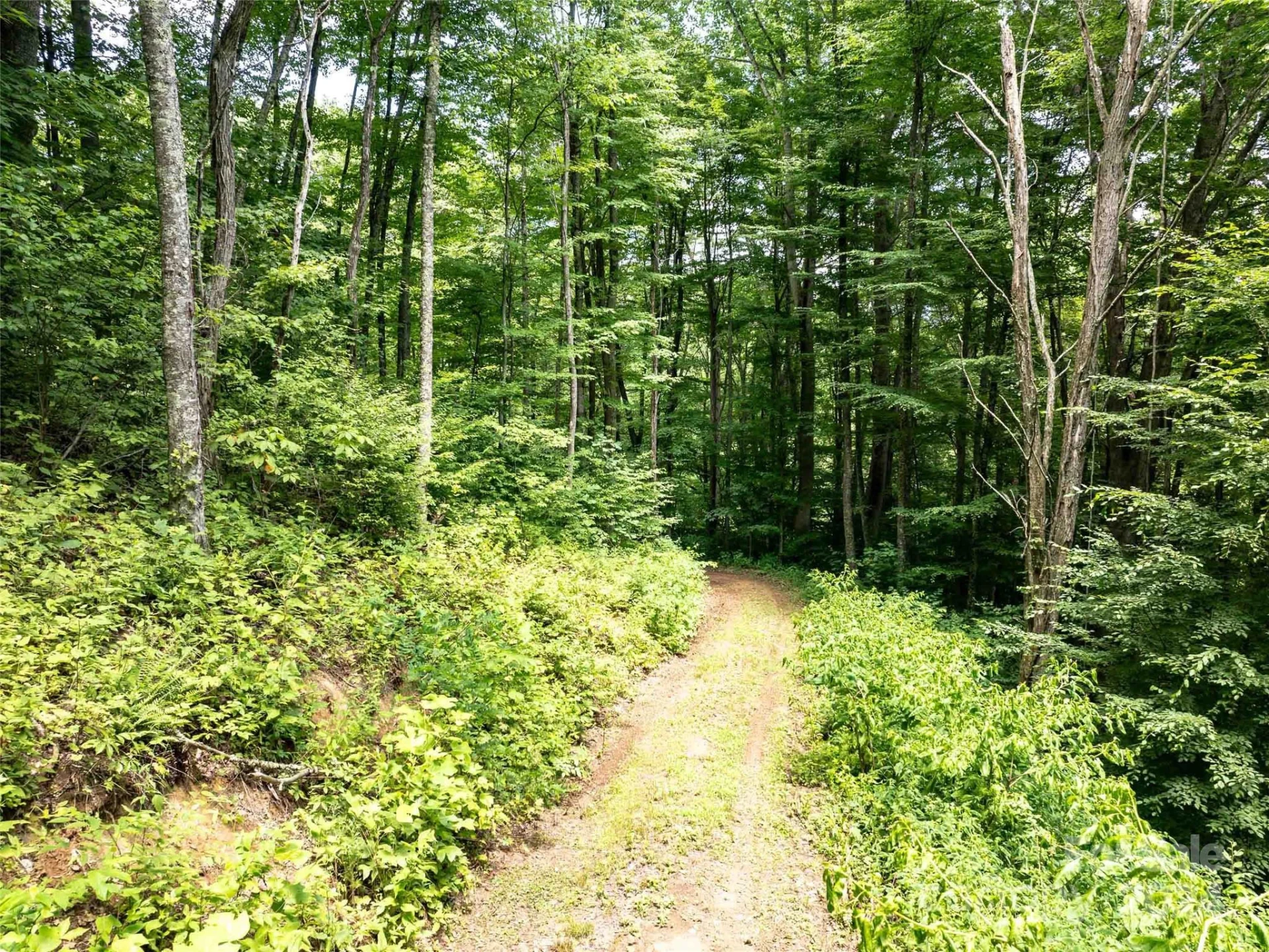 00 Hardy Branch Trail - Photo 27