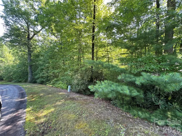 67 Peppervine Circle, Rosman, NC, 28772