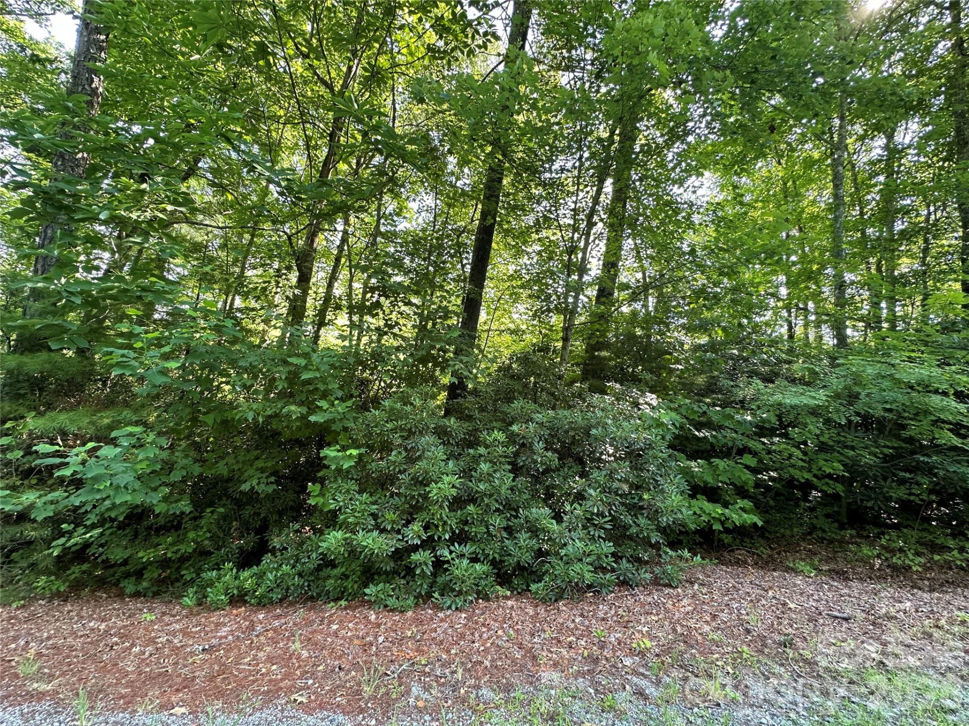 67 Peppervine Circle - Photo 3