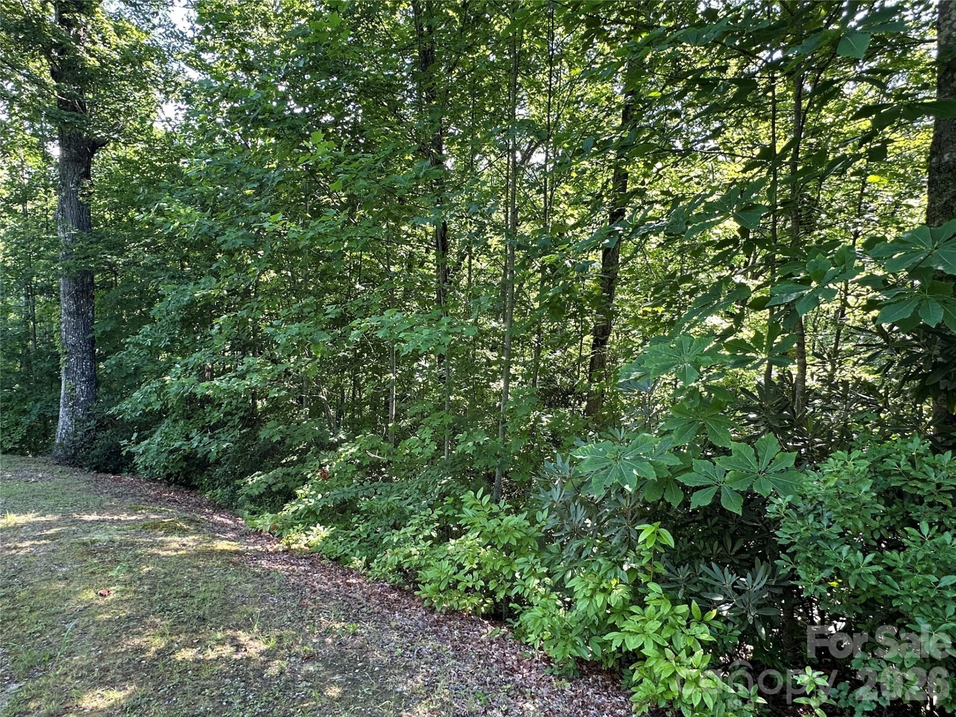 67 Peppervine Circle - Photo 21