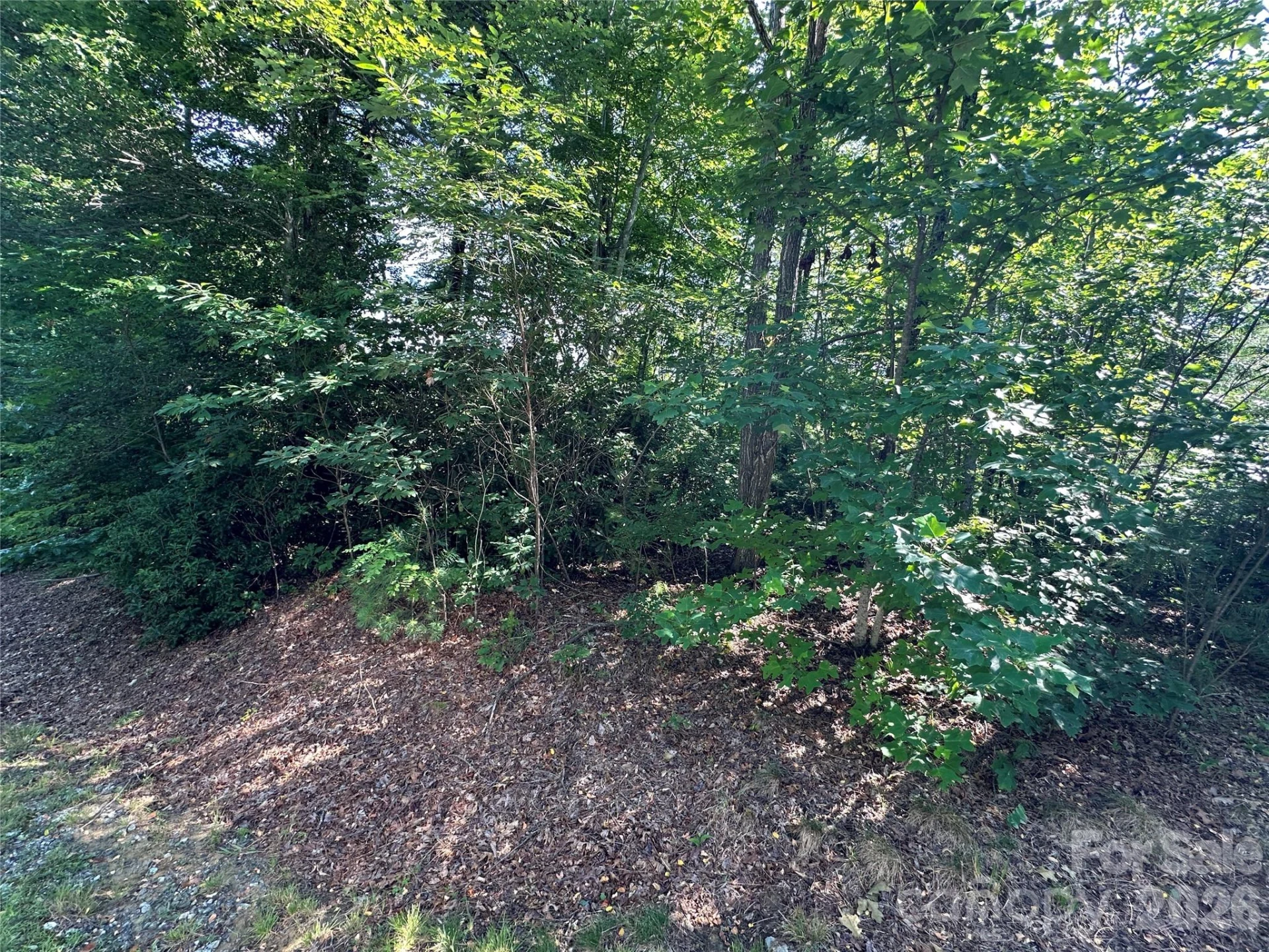 67 Peppervine Circle - Photo 29