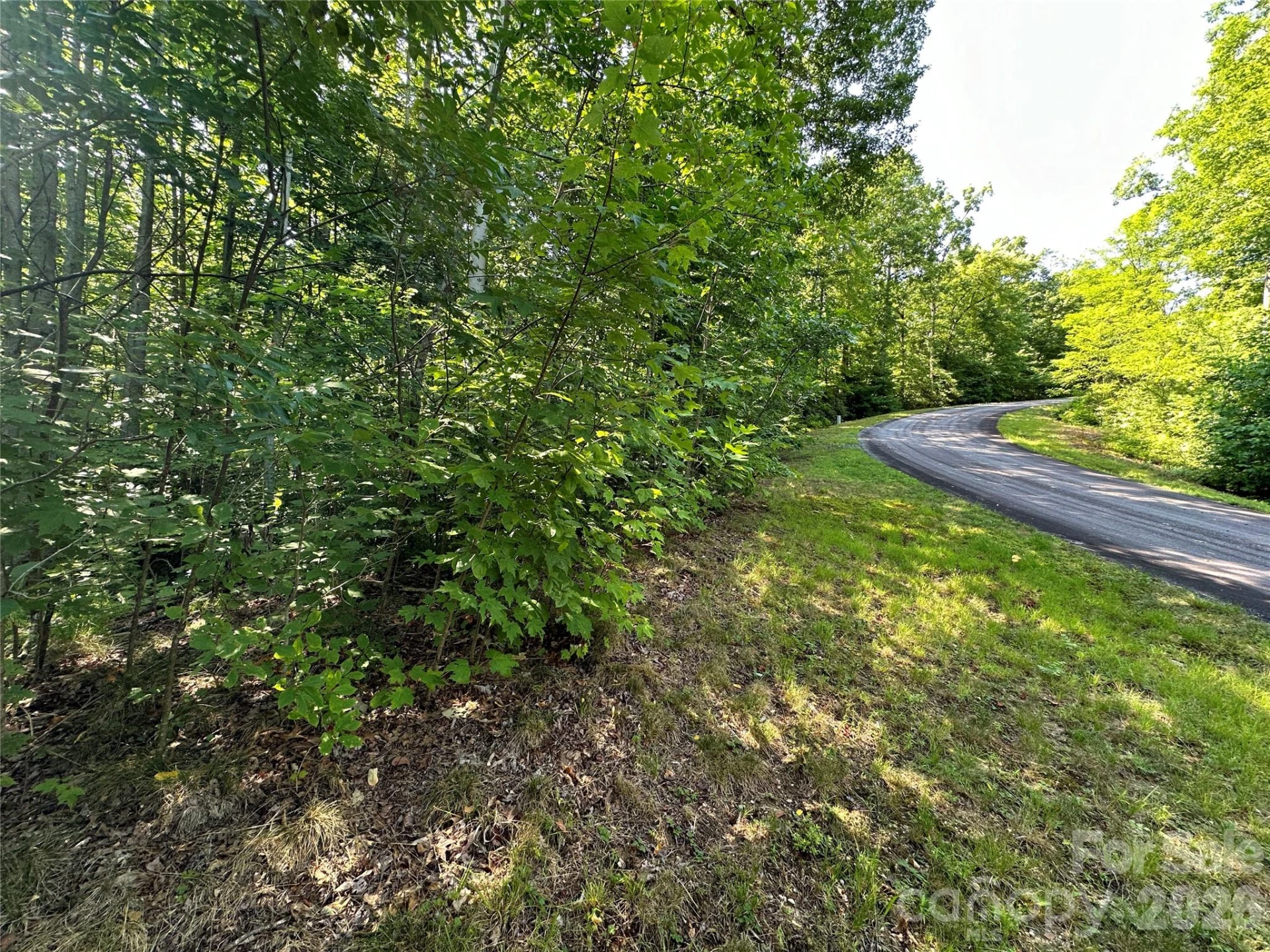 67 Peppervine Circle - Photo 32