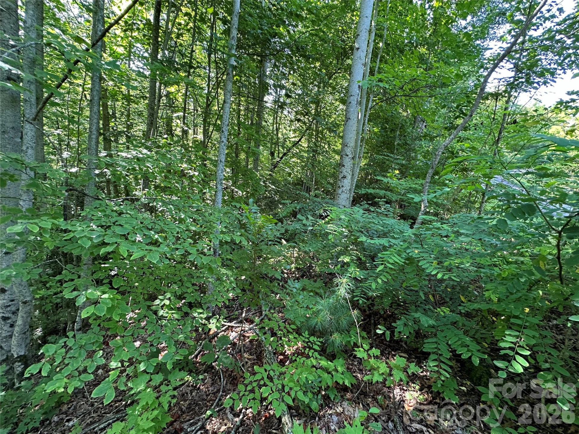 67 Peppervine Circle - Photo 33