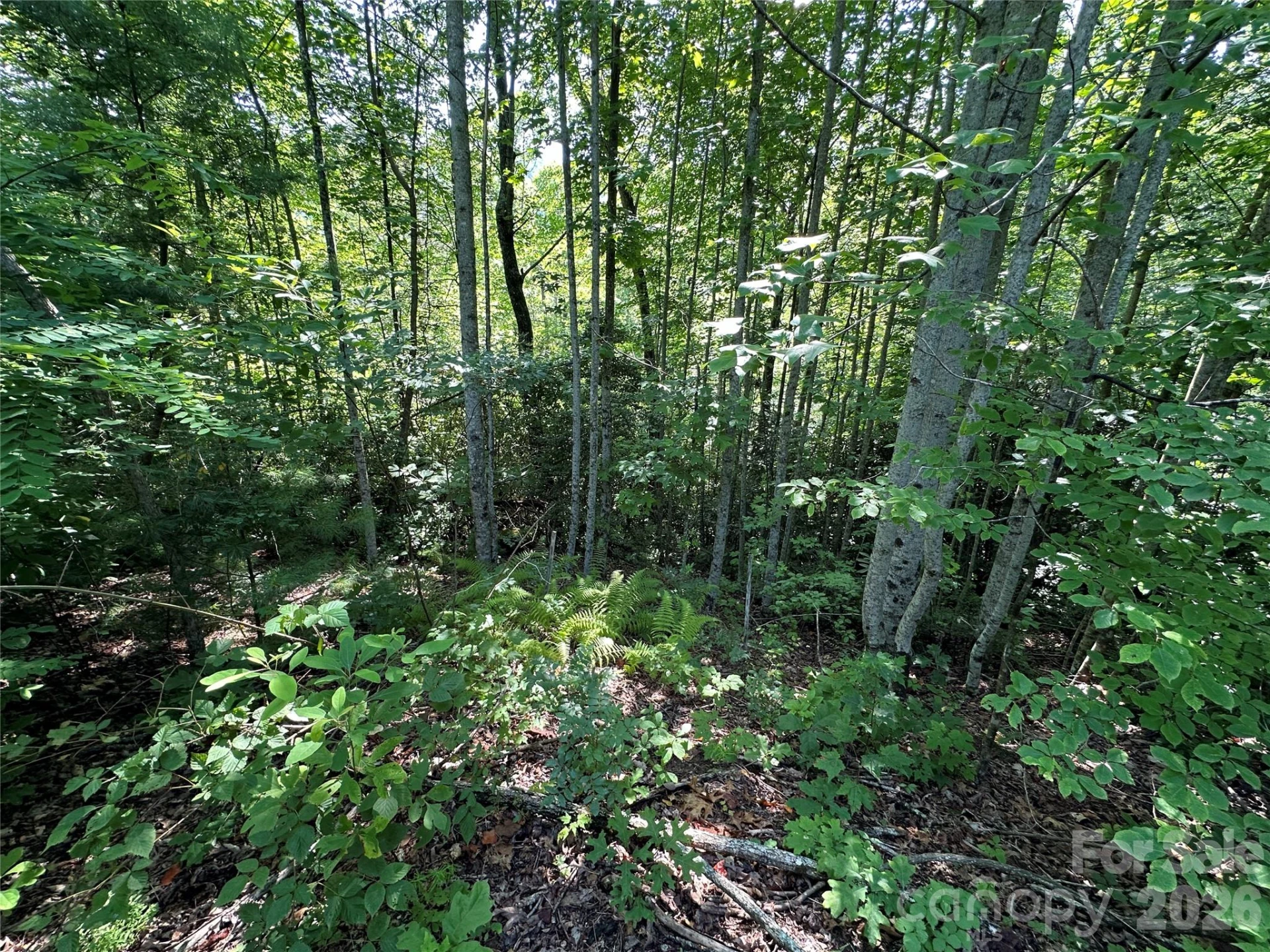 67 Peppervine Circle - Photo 34