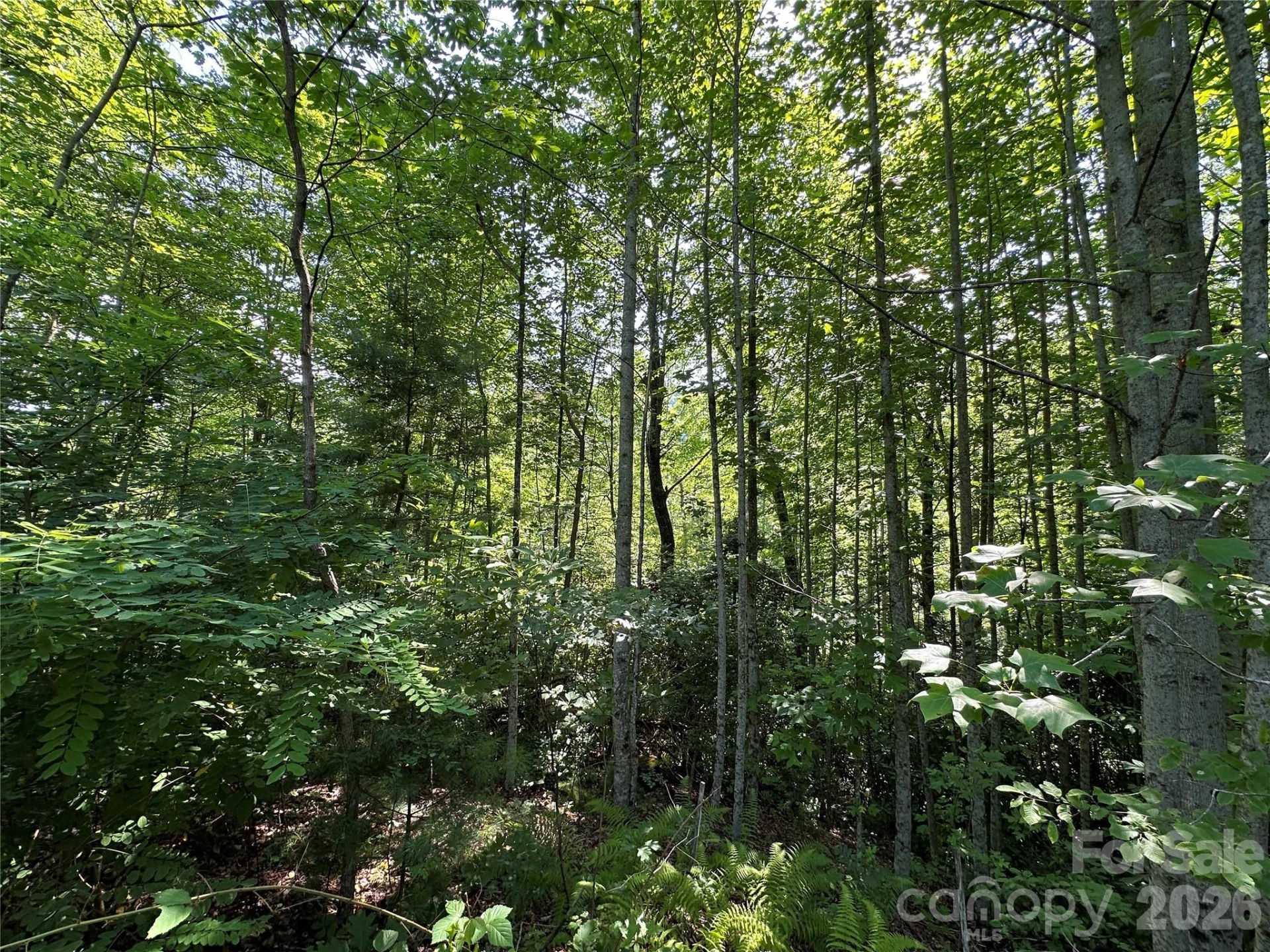 67 Peppervine Circle - Photo 35