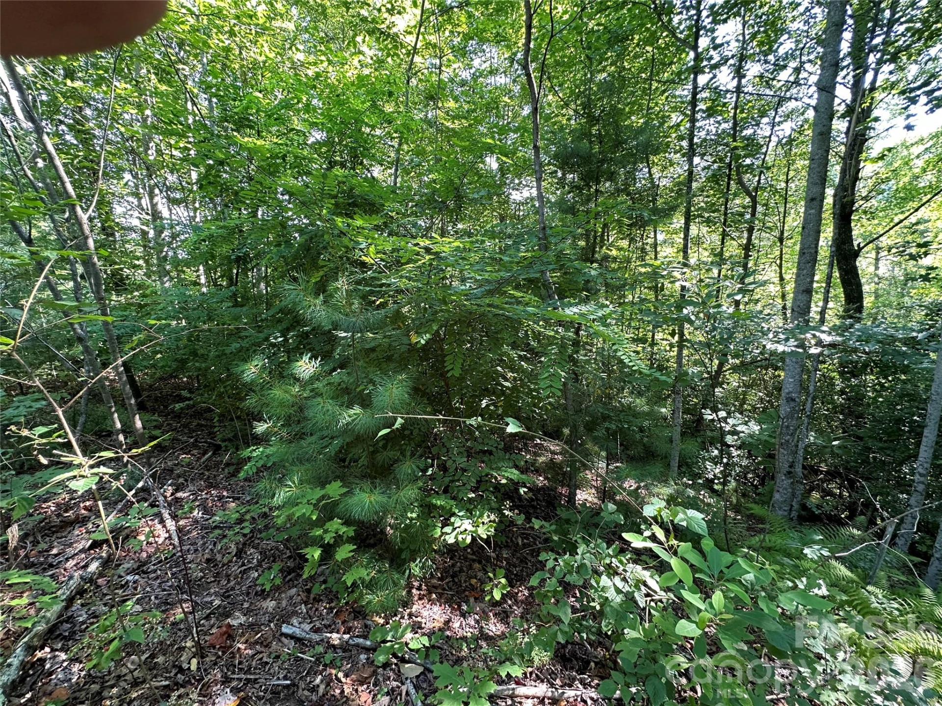 67 Peppervine Circle - Photo 36