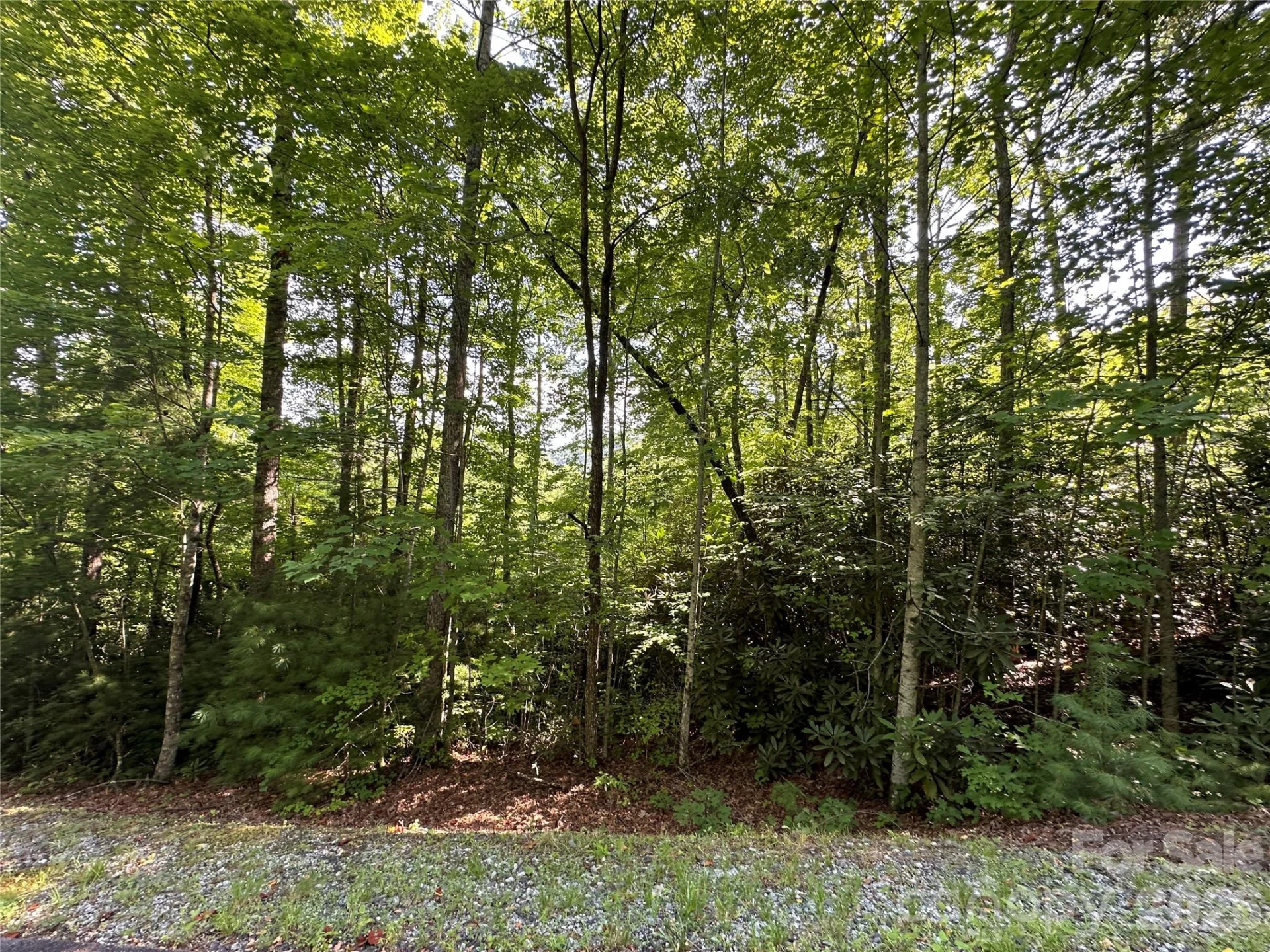 67 Peppervine Circle - Photo 37