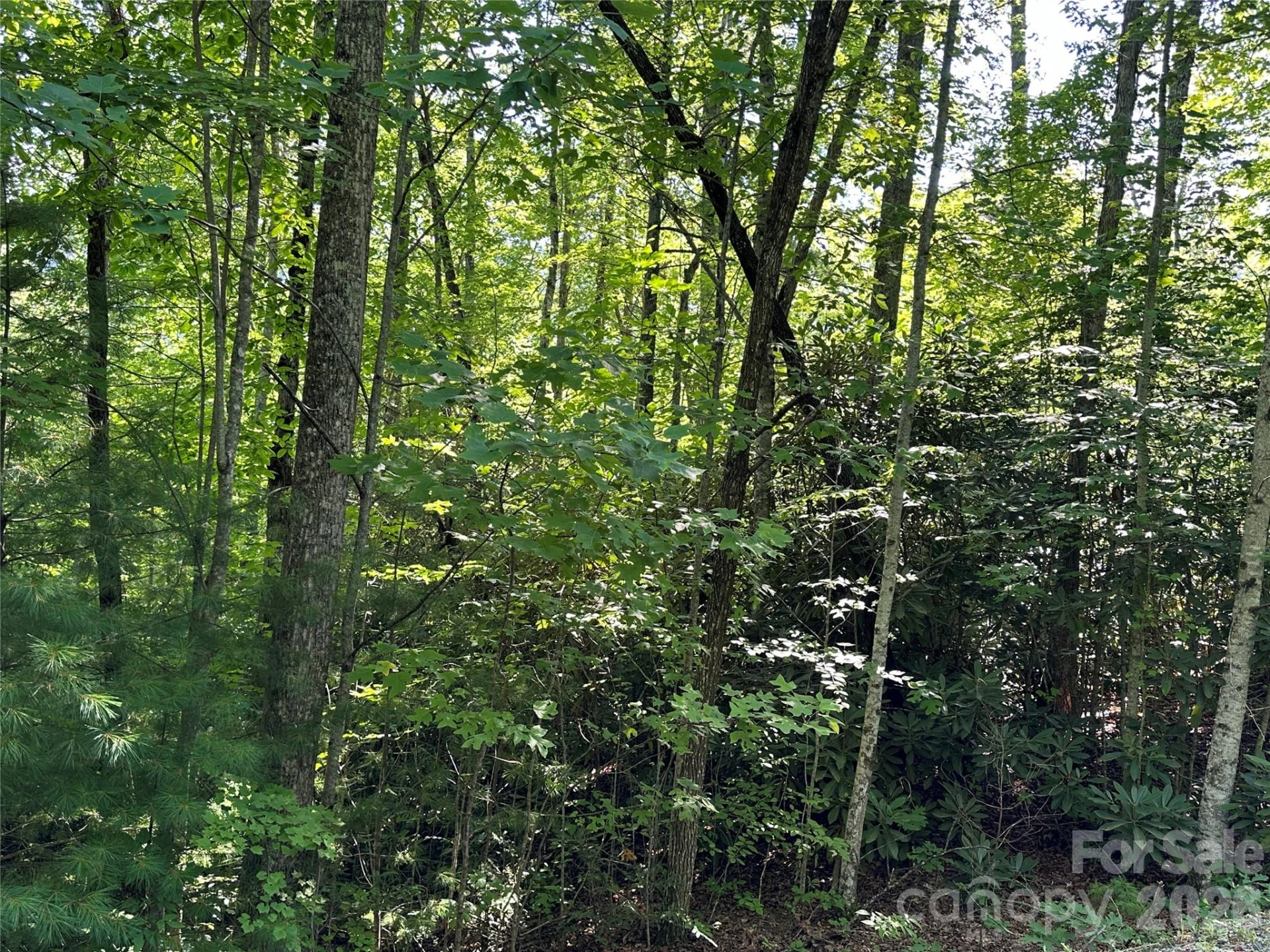 67 Peppervine Circle - Photo 40