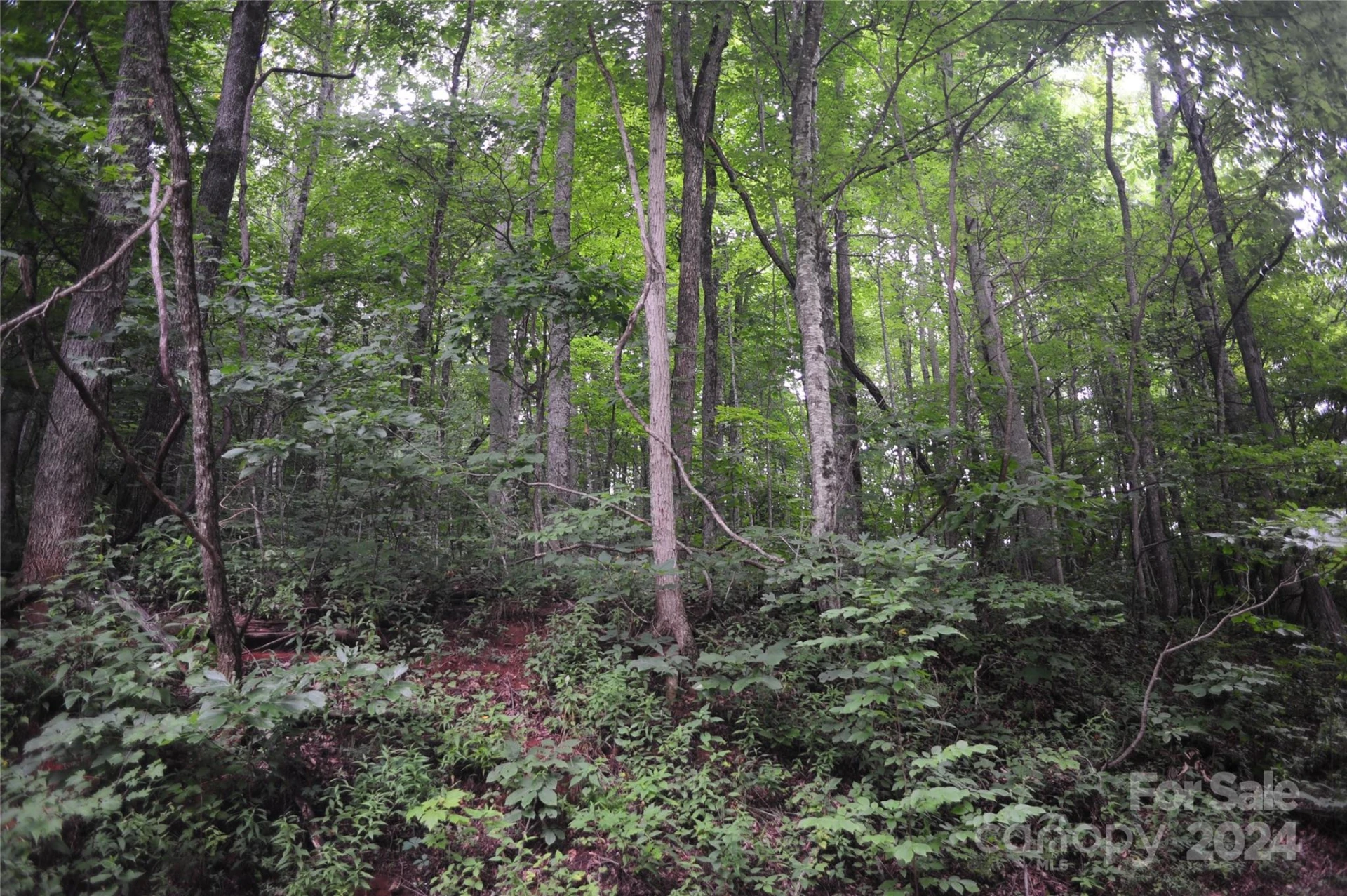 54 Great Aspen Way #701 - Photo 3