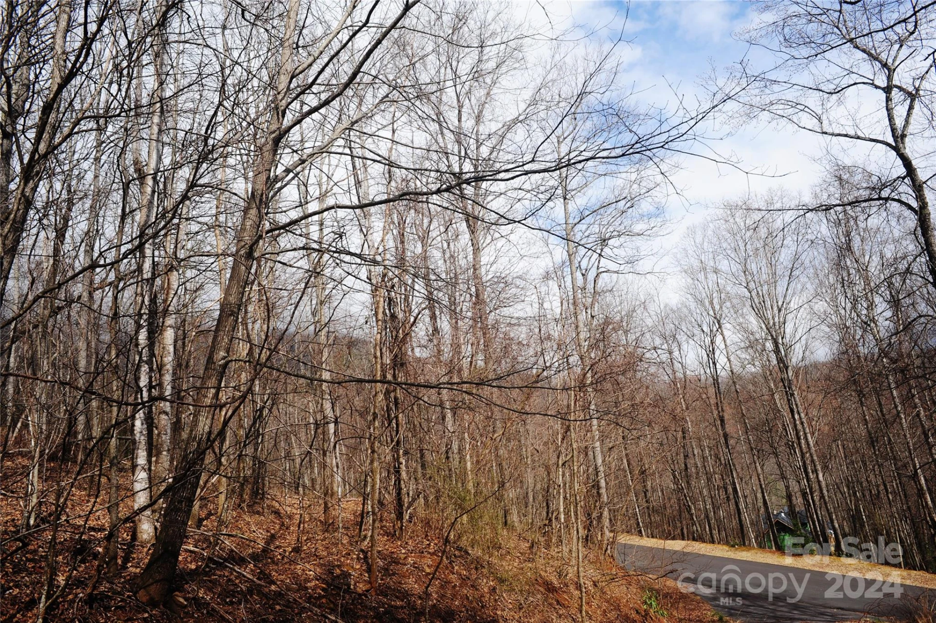 54 Great Aspen Way #701 - Photo 4