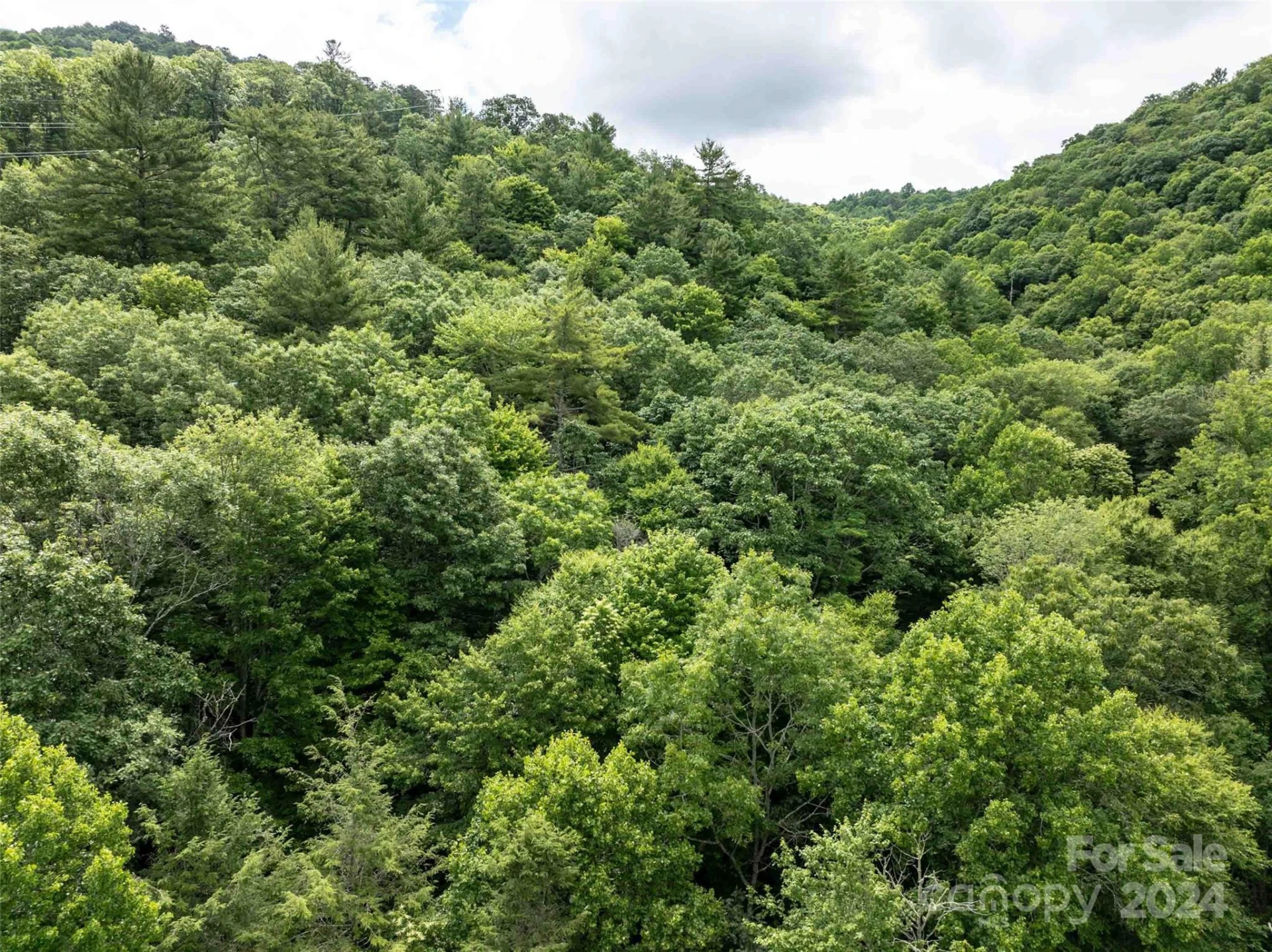 00 Waterwheel Cove - Photo 17