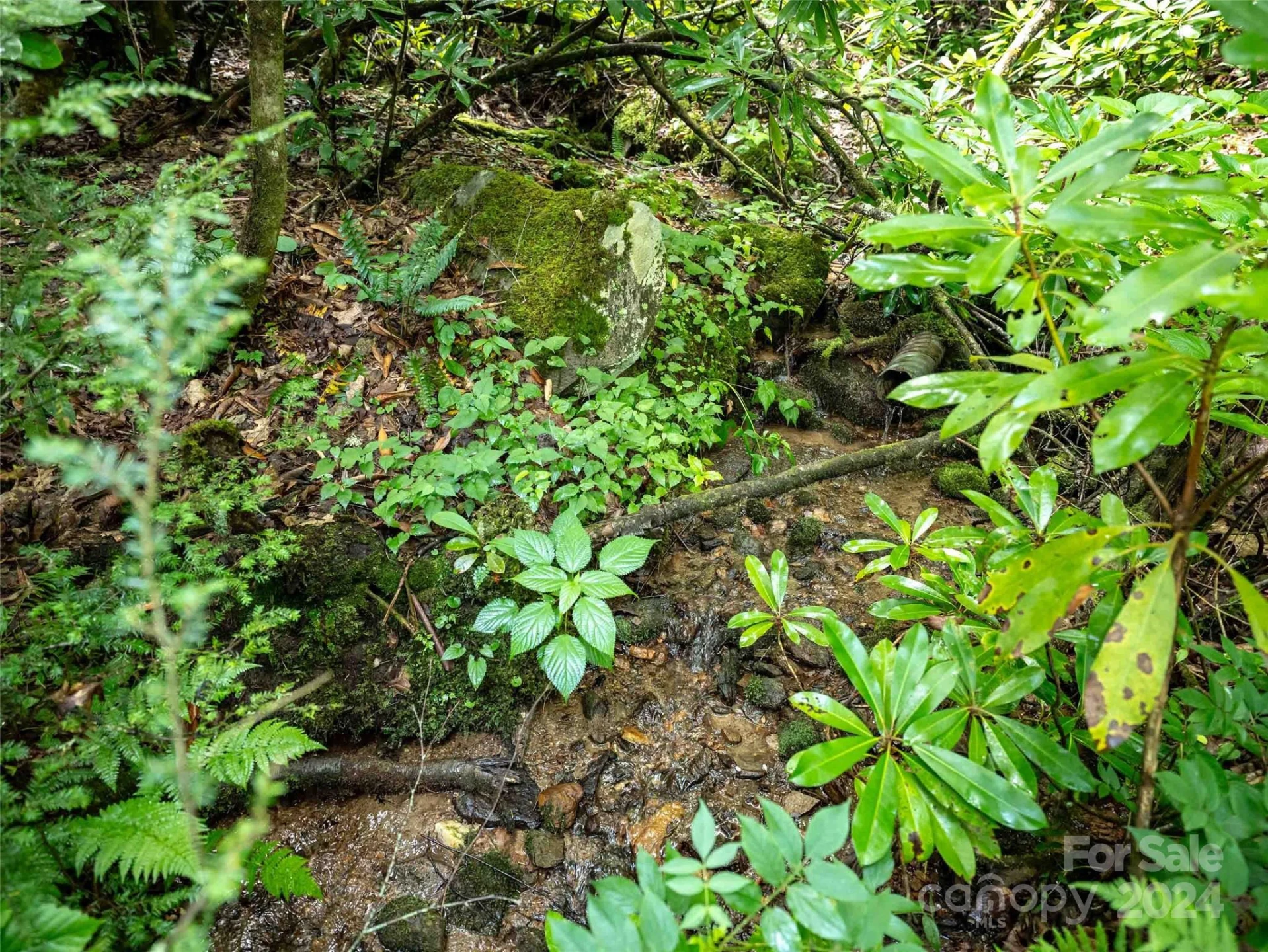 00 Waterwheel Cove - Photo 7