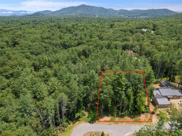 323 Flowering Vine Court