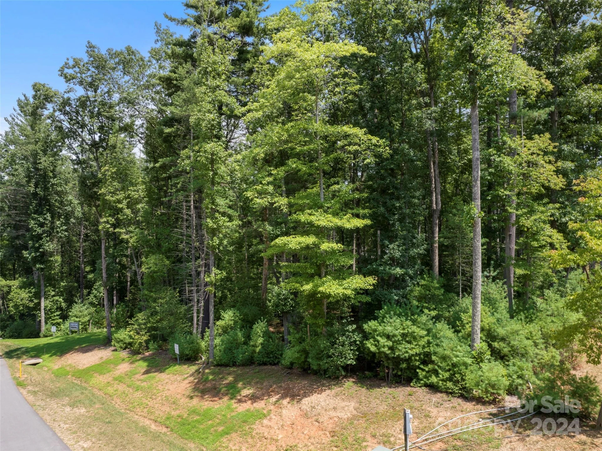 323 Flowering Vine Court #617 - Photo 13