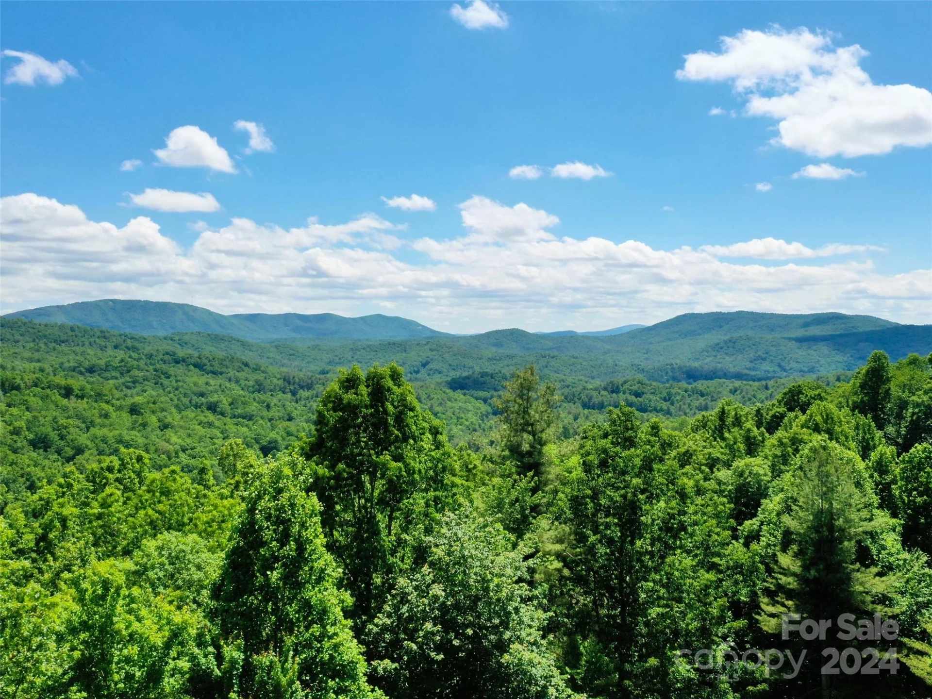 211 Bent Pine Trace #184 - Photo 5