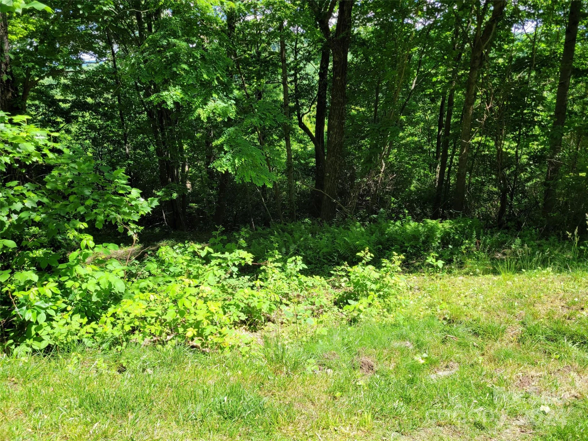 211 Bent Pine Trace #184 - Photo 17