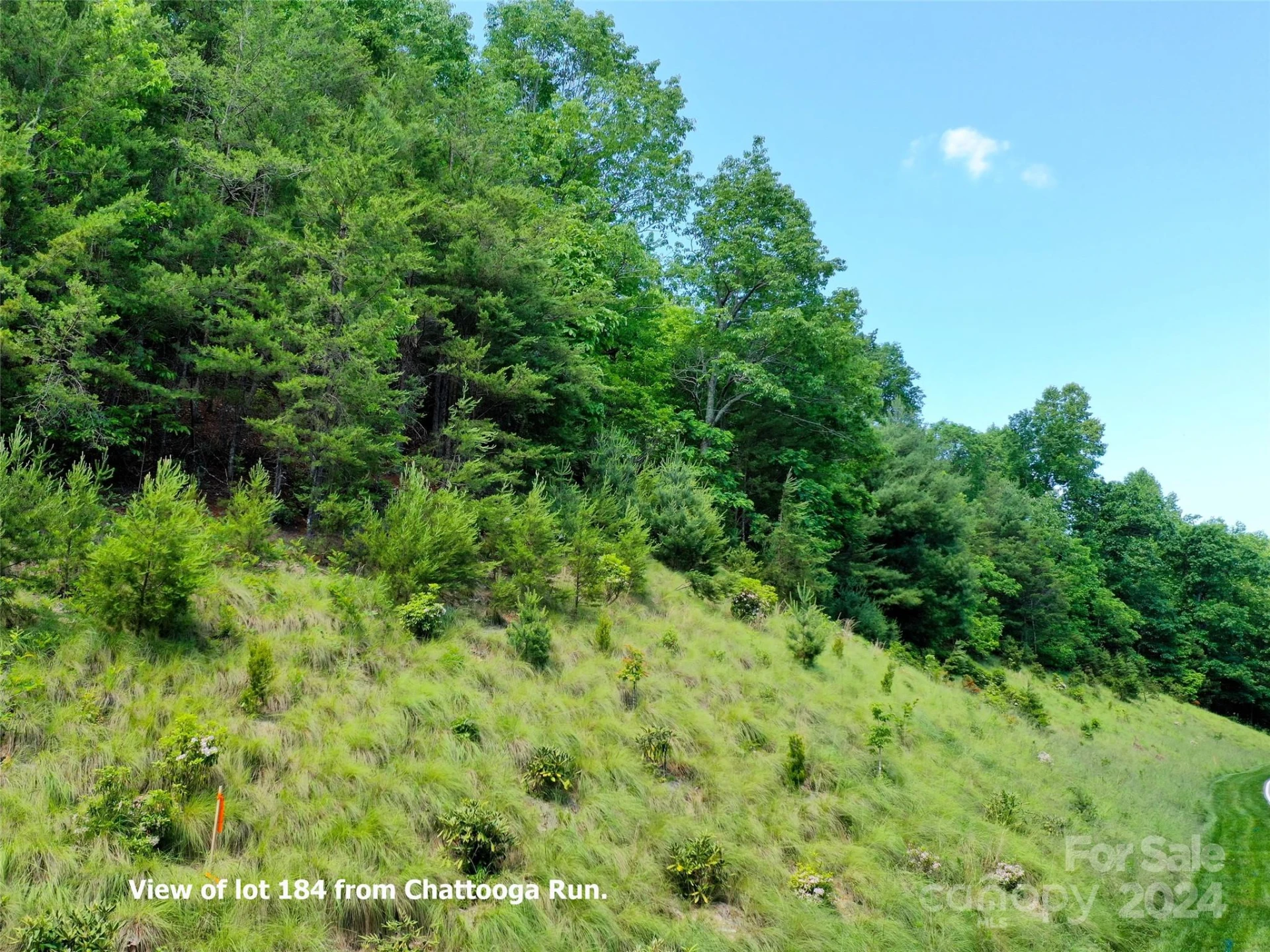 211 Bent Pine Trace #184 - Photo 40