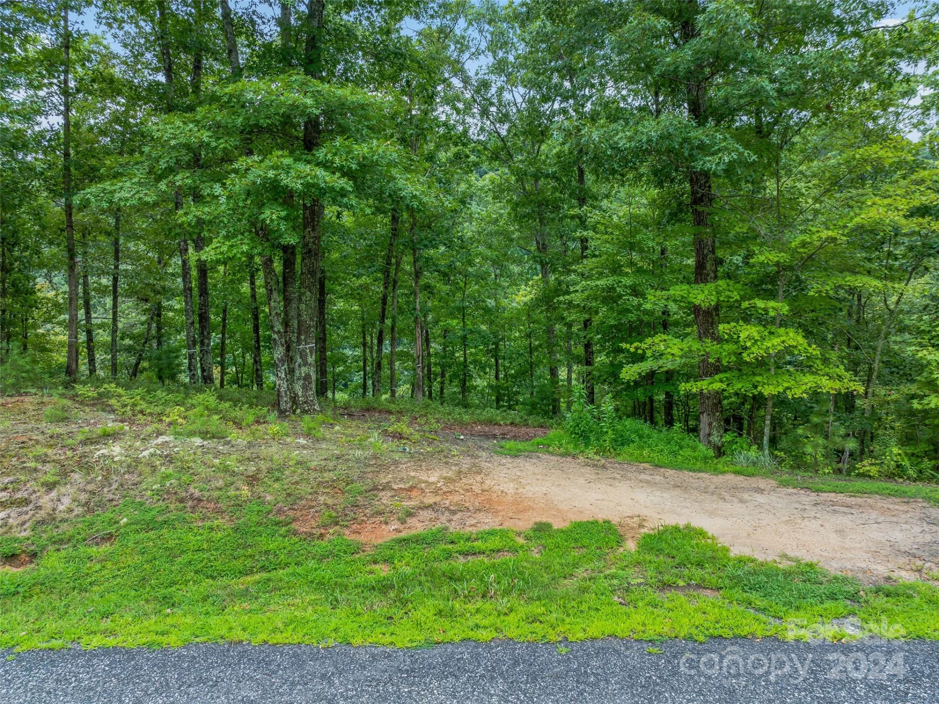 4155 French Broad Parkway - Photo 3