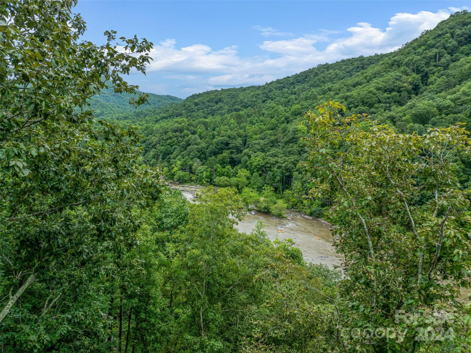 4155 French Broad Parkway - Photo 6