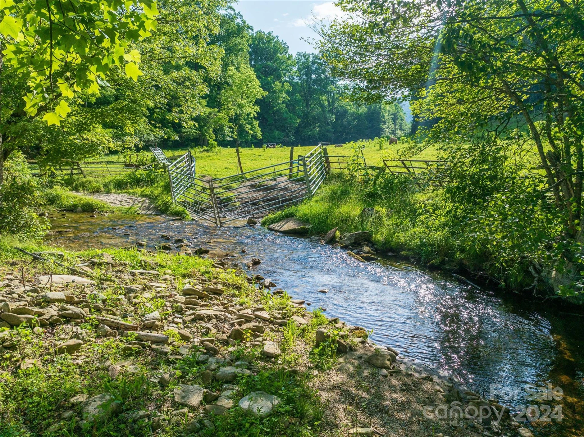 500 Winding Gap Road - Photo 7