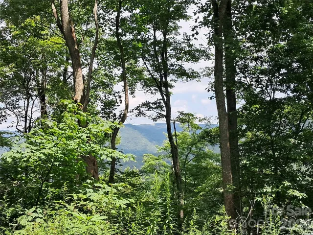 00 Hurricane Ridge Trace, Clyde, NC, 28721