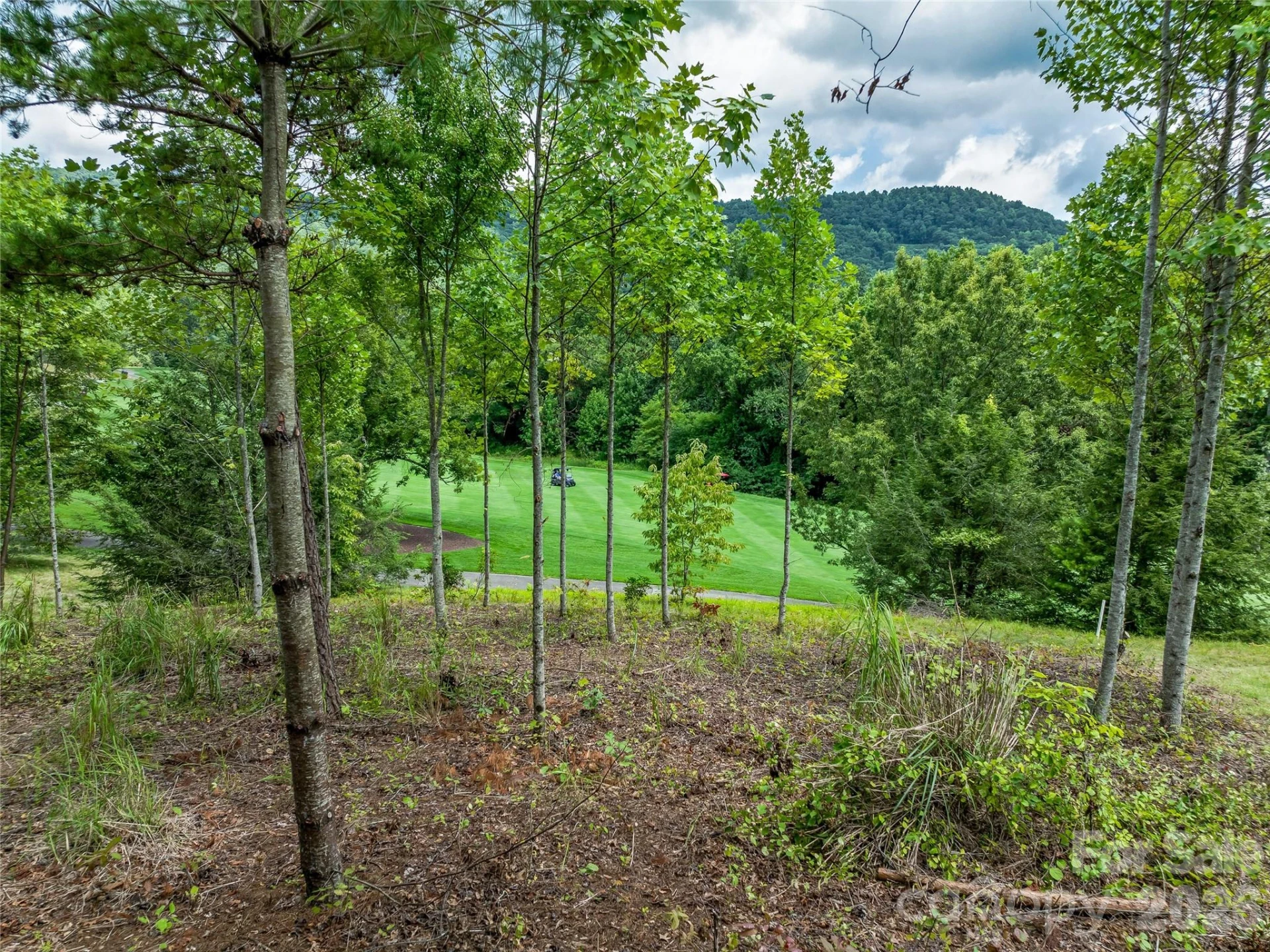 1822 Bella Vista Court #119 - Photo 3