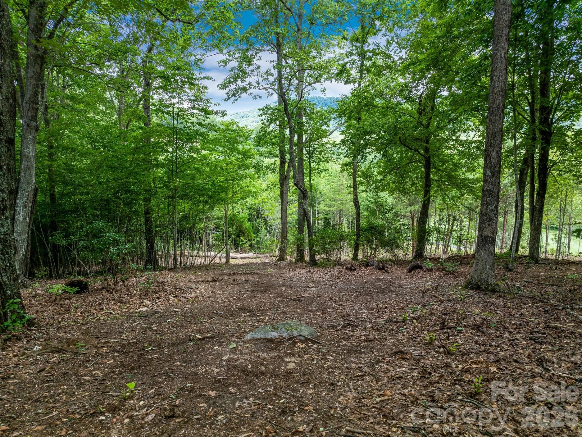 1822 Bella Vista Court #119 - Photo 21
