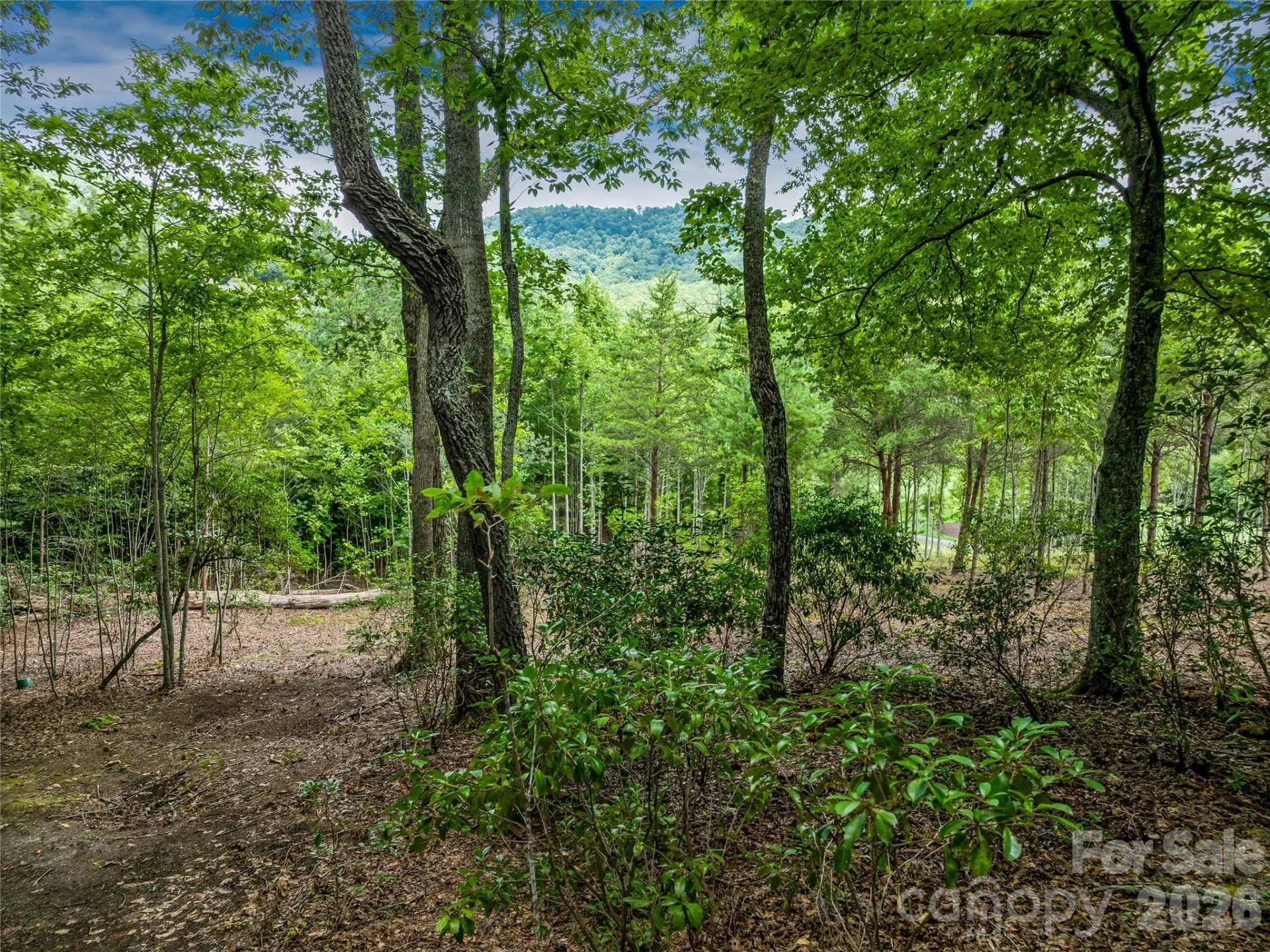 1822 Bella Vista Court #119 - Photo 22